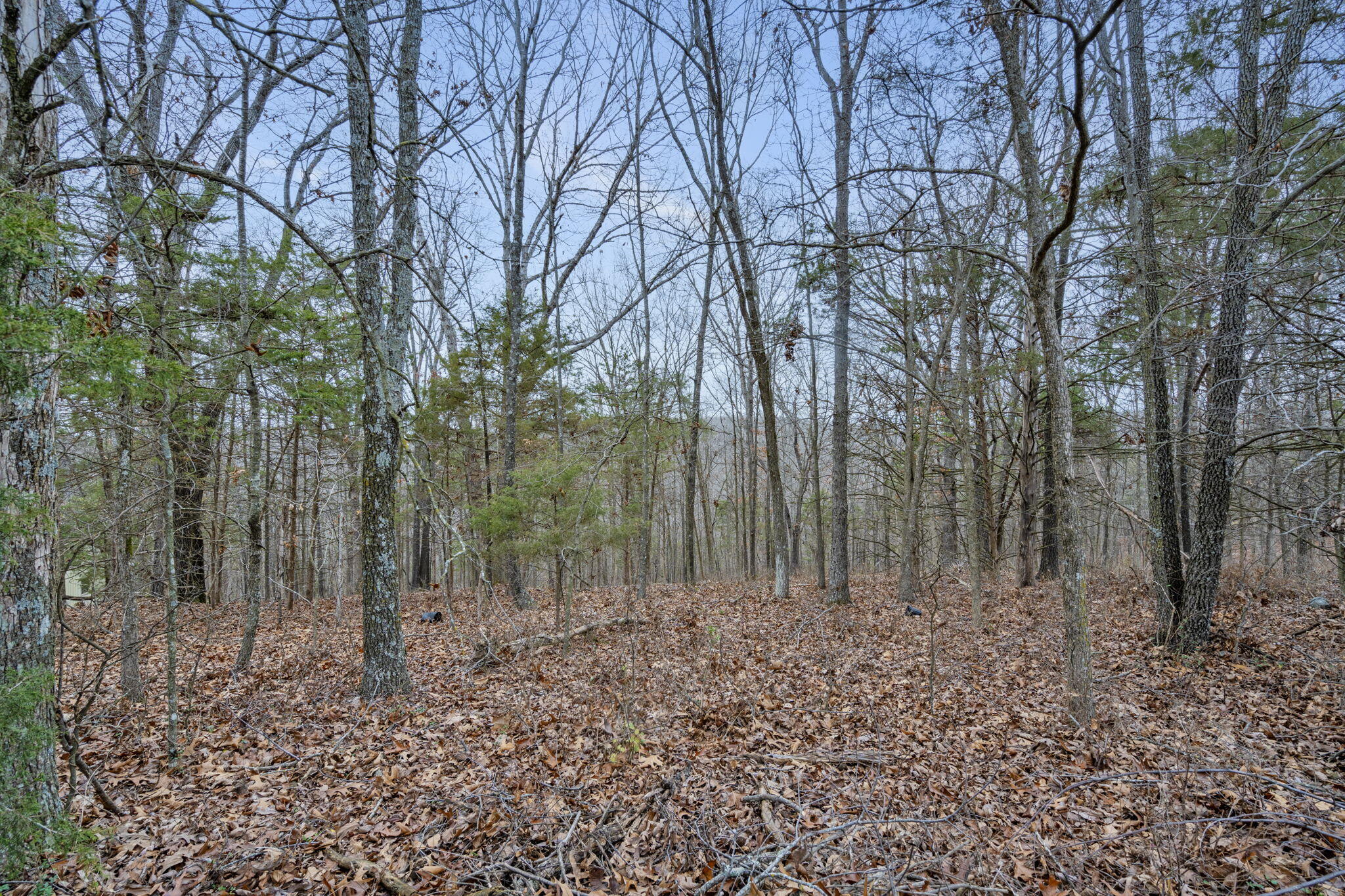 Lot 12 Hillcrest Drive Property Photo 14