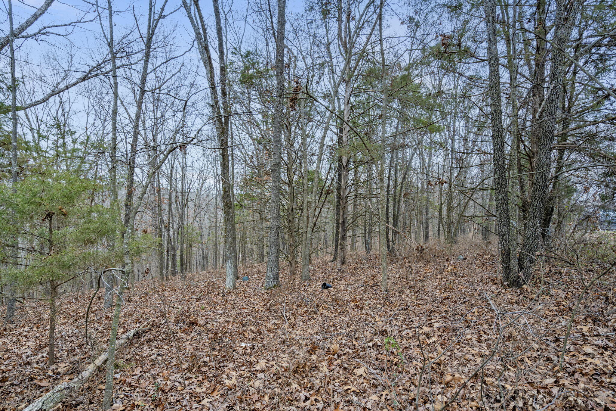 Lot 12 Hillcrest Drive Property Photo 15