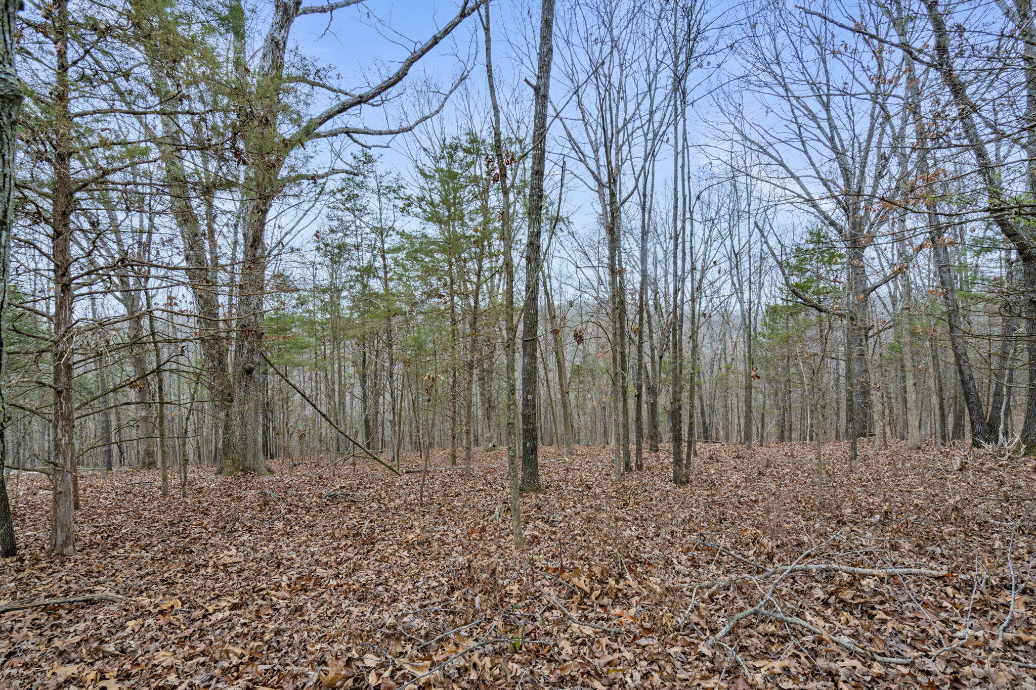 Lot 12 Hillcrest Drive Property Photo 16