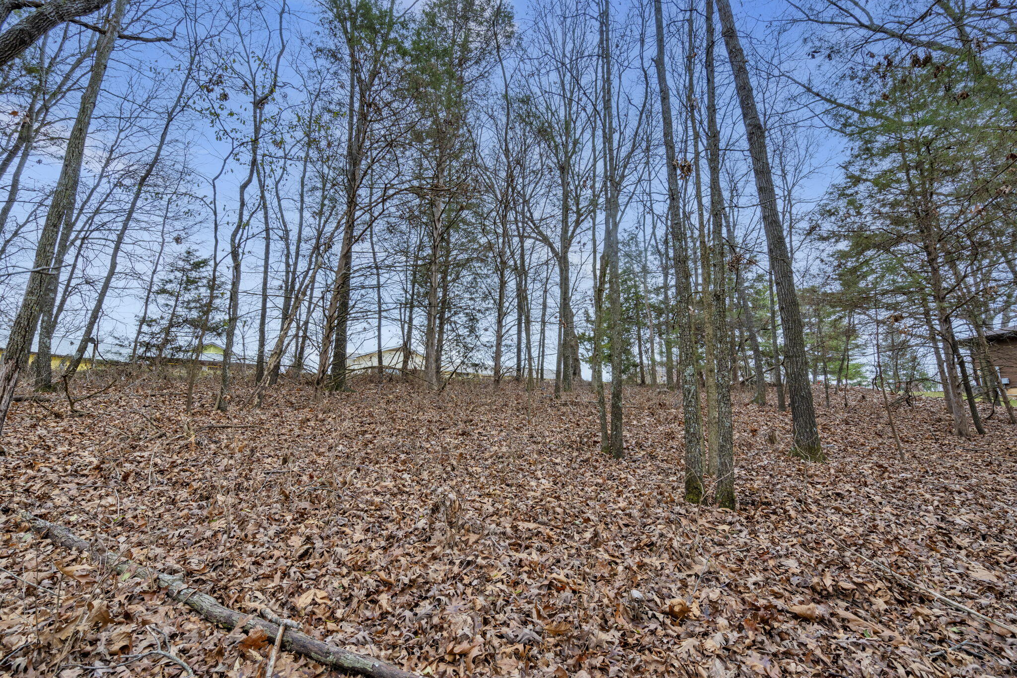 Lot 12 Hillcrest Drive Property Photo 17