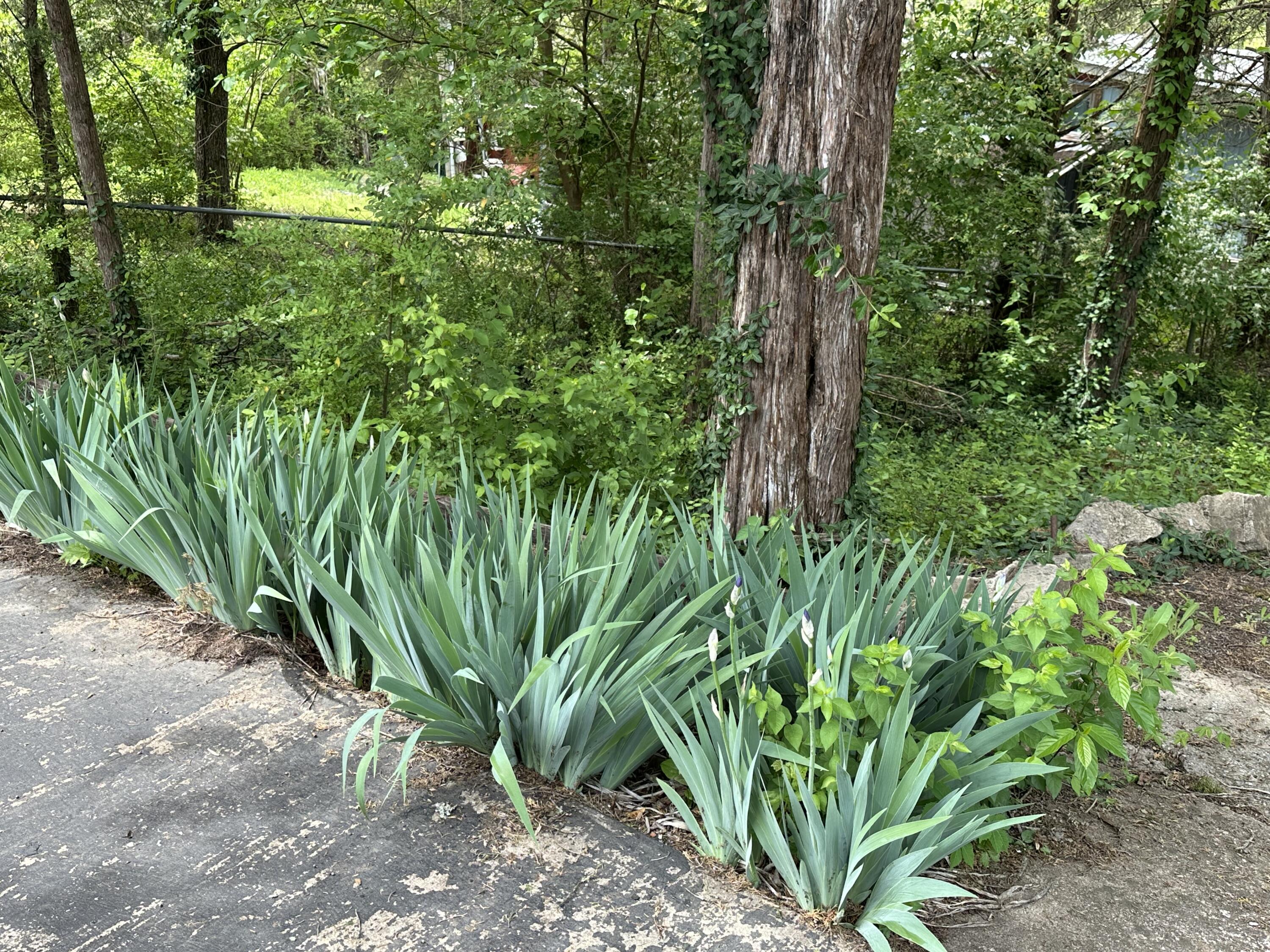 121 Lillian Road Property Photo 23