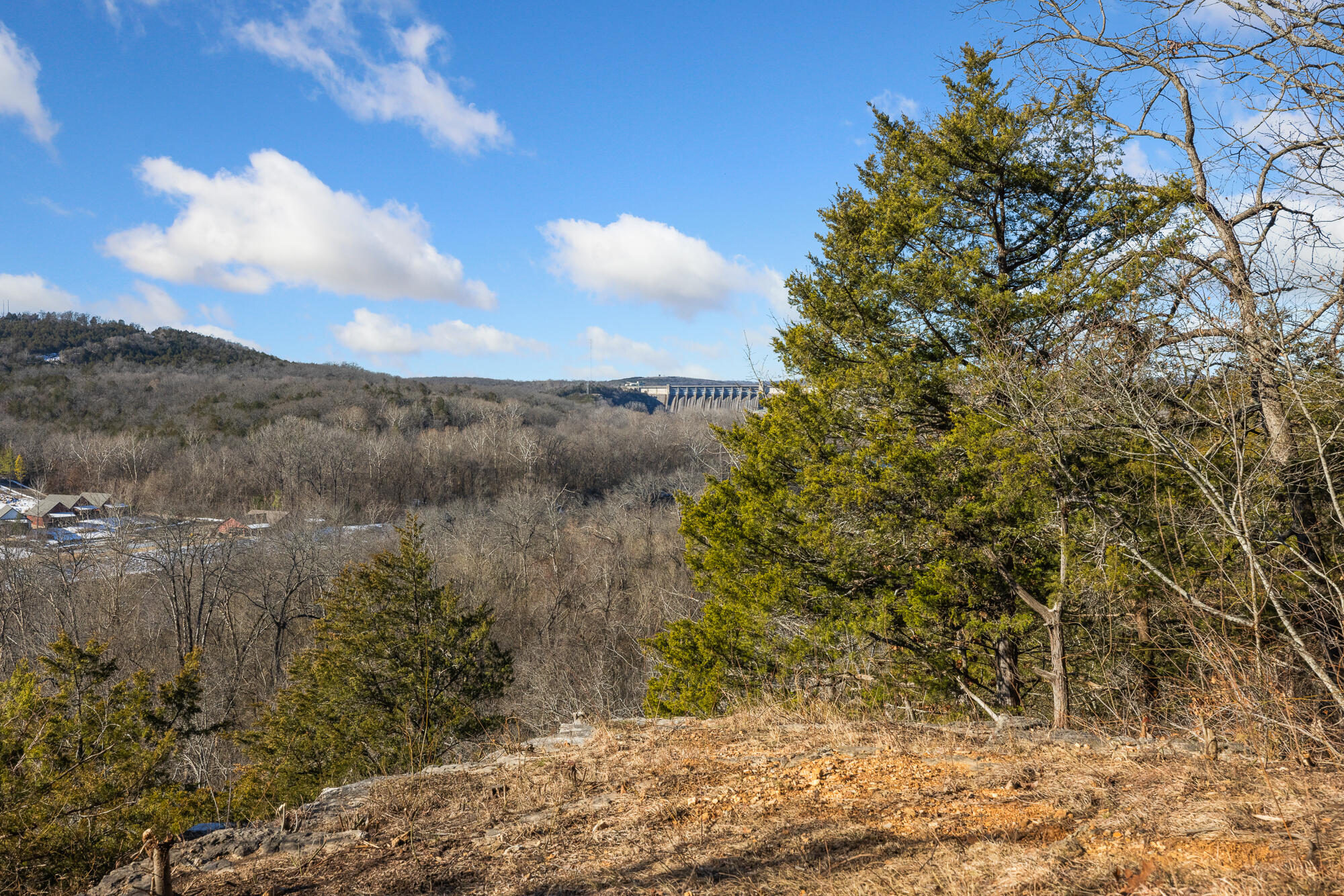 150 The Bluffs Property Photo 29