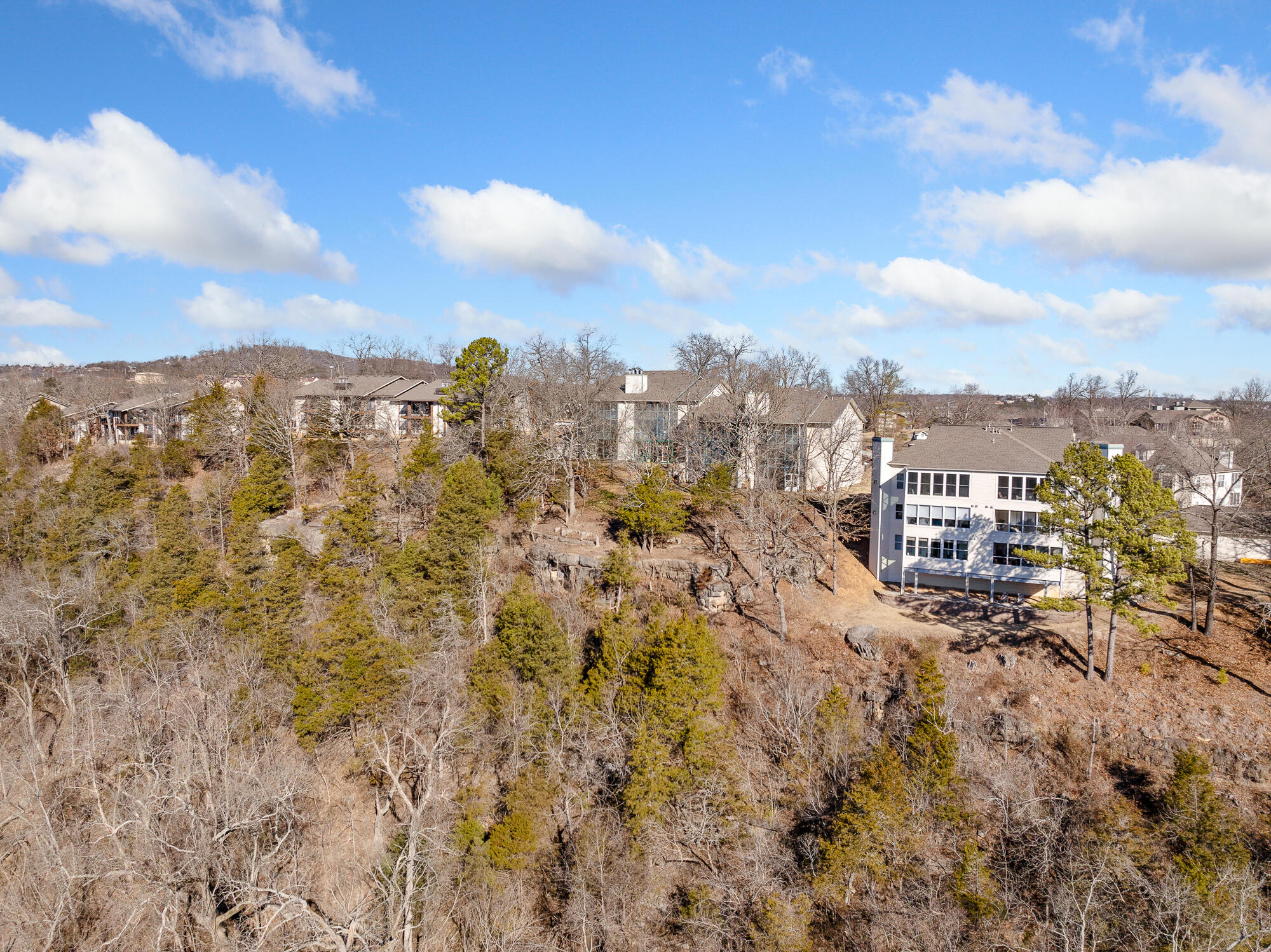 150 The Bluffs Property Photo 41