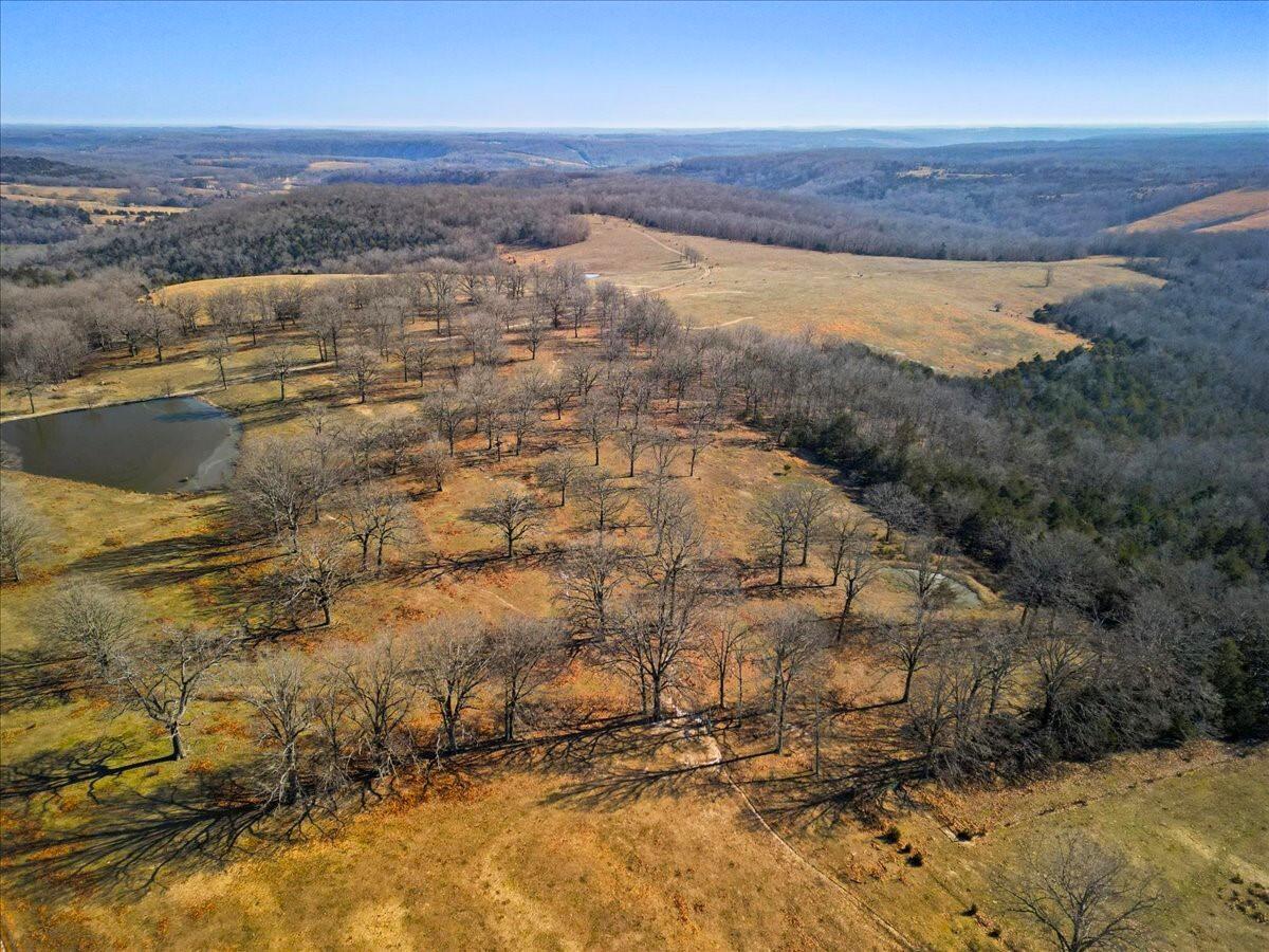 1338 County Road 308 Property Photo 5