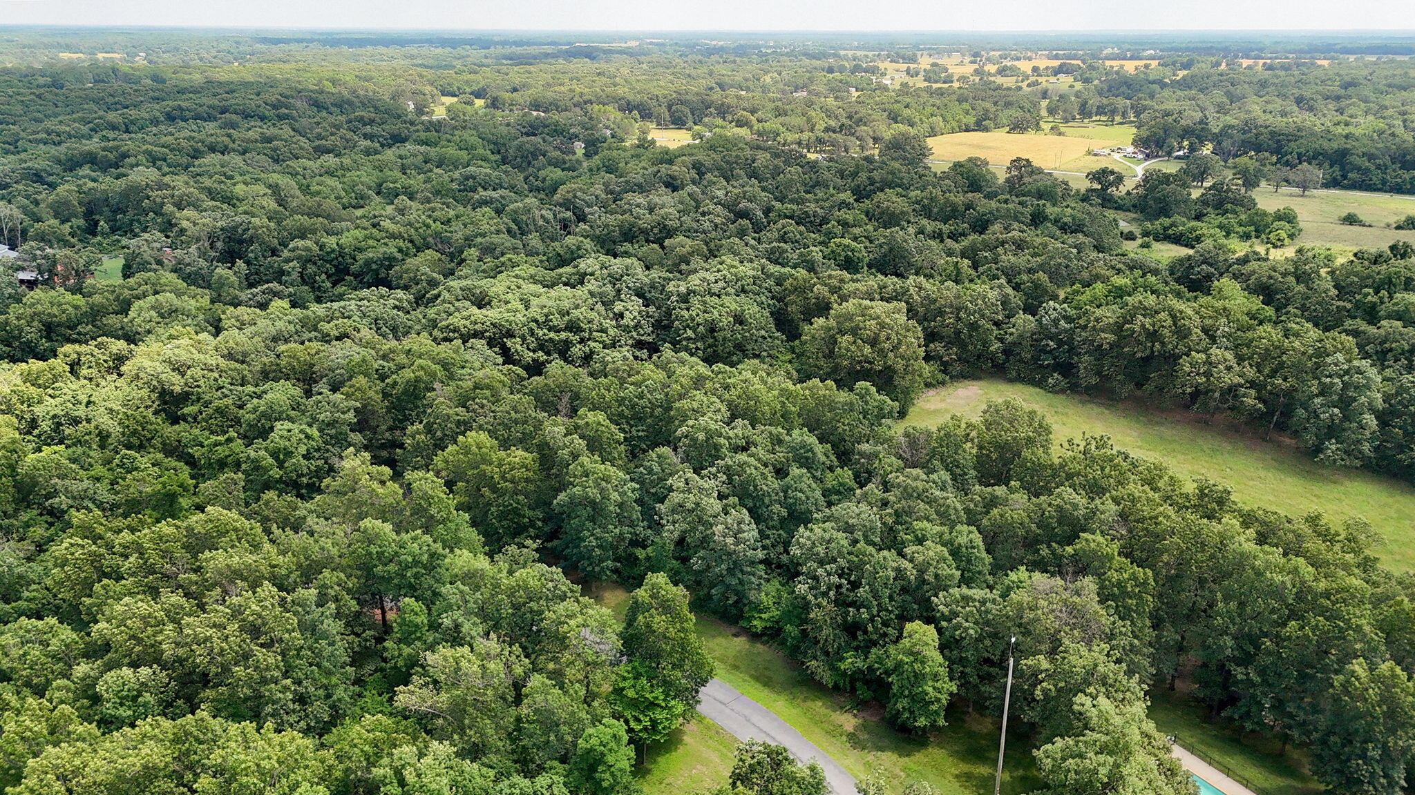 10350 Indian Ridge Lane Property Photo 96