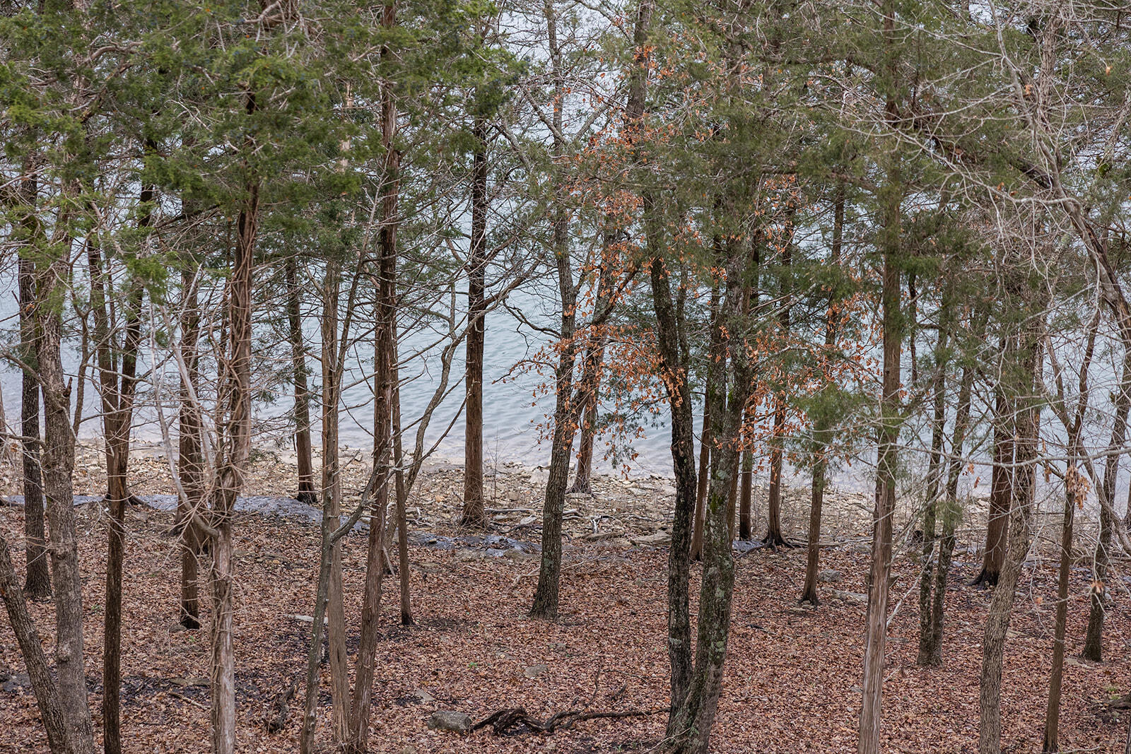 1301 Rocky Shore Terrace Property Photo 34