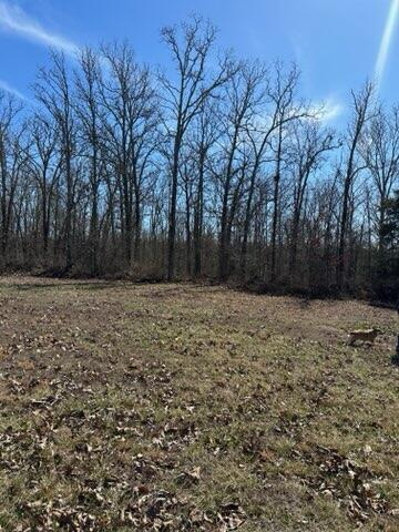 000 Cool Breeze Drive Property Photo 3