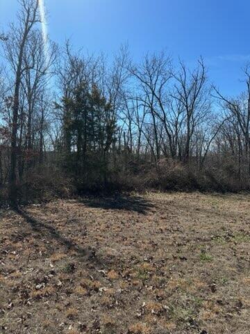 000 Cool Breeze Drive Property Photo 7
