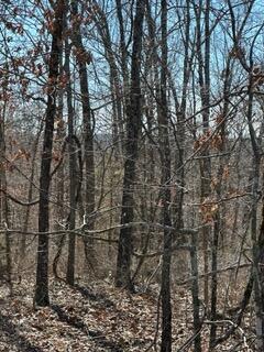 000 Cool Breeze Drive Property Photo 8