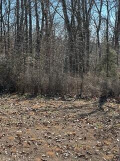 000 Cool Breeze Drive Property Photo 9