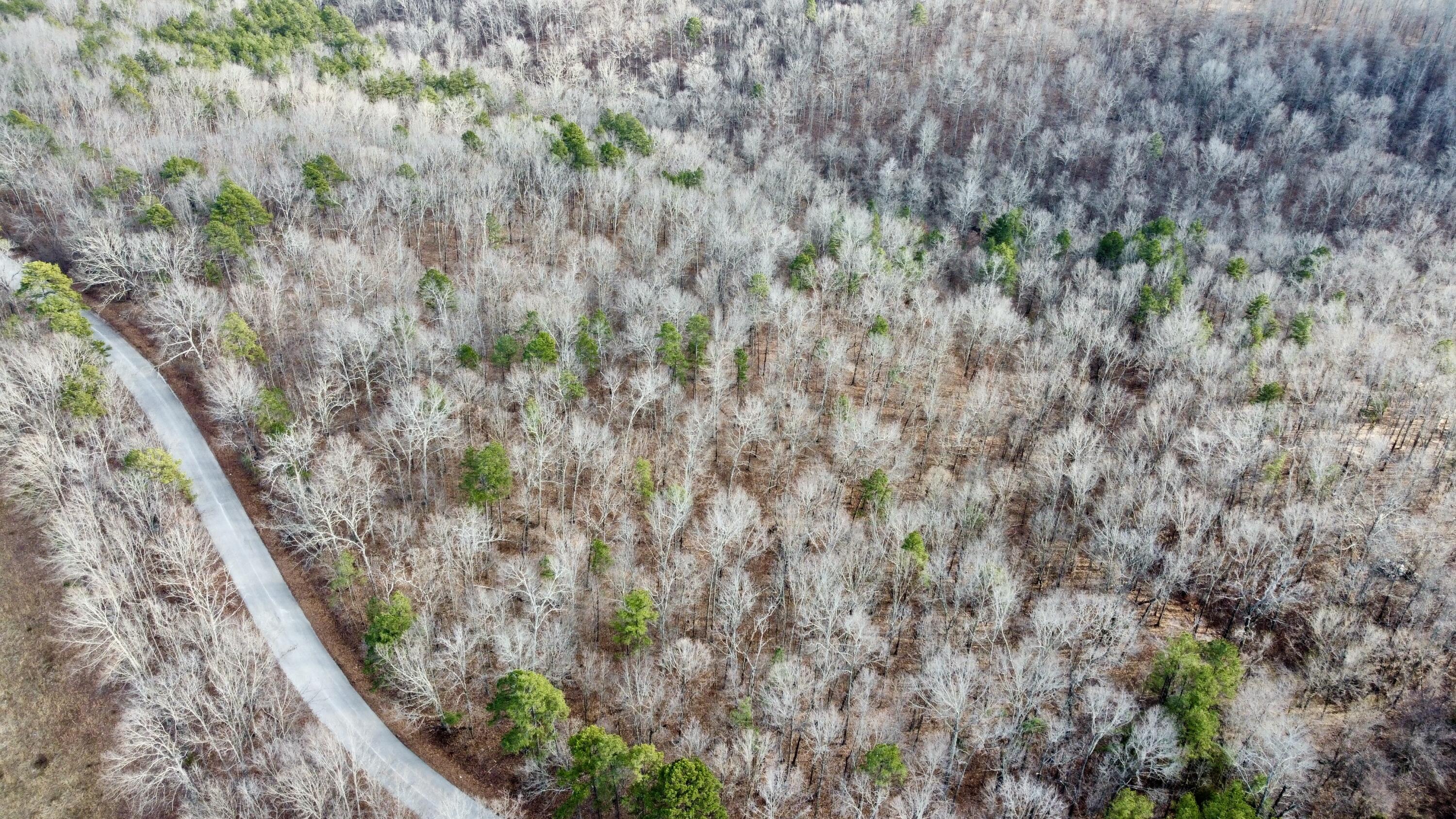 000 County Road 21-306 Property Photo 4