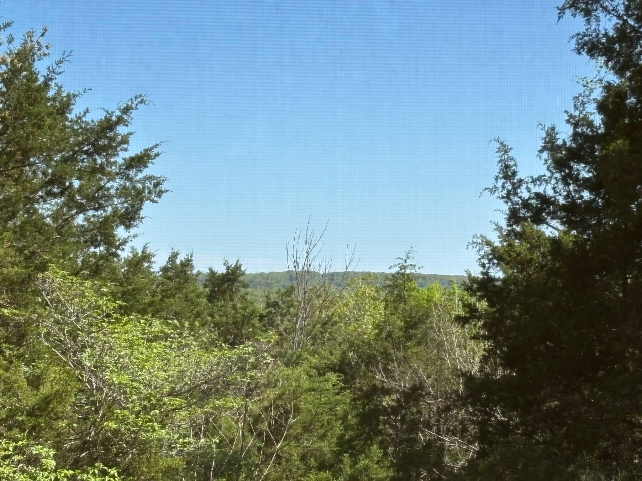 979 Matherly Road Property Photo 43