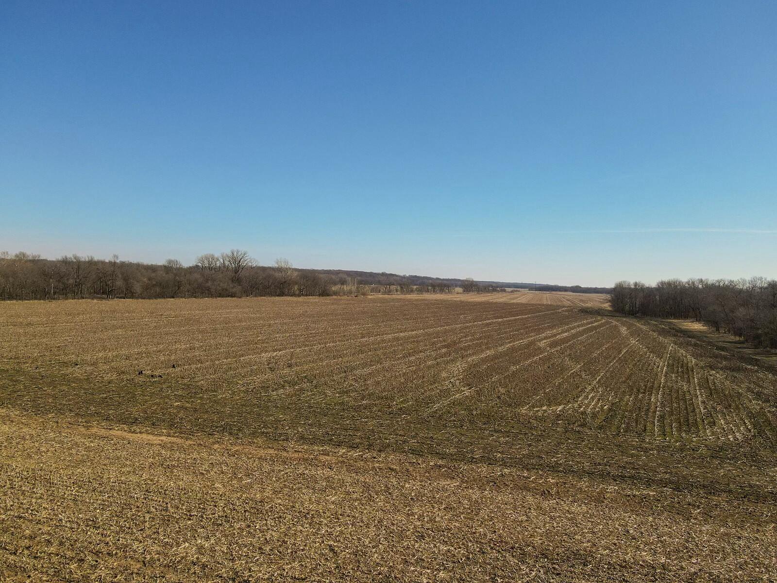 Tbd Gum Road Property Photo 2