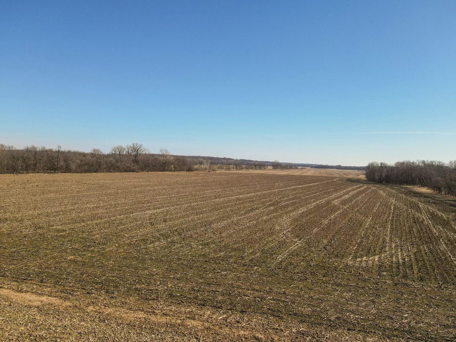 Tbd Gum Road Property Photo 3