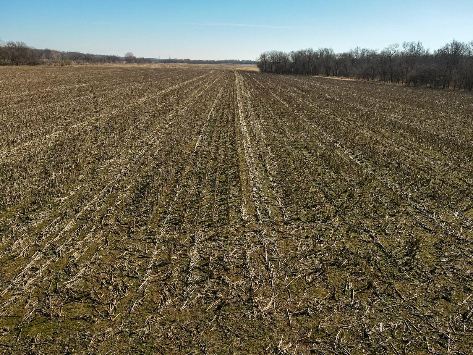 Tbd Gum Road Property Photo 4