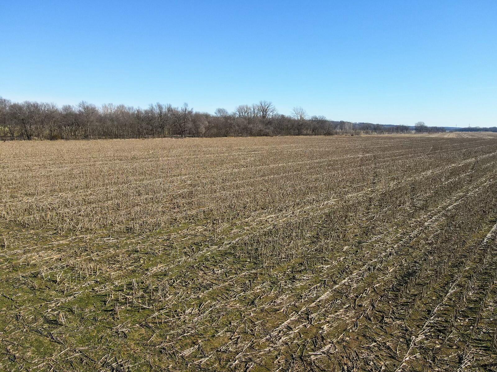 Tbd Gum Road Property Photo 5