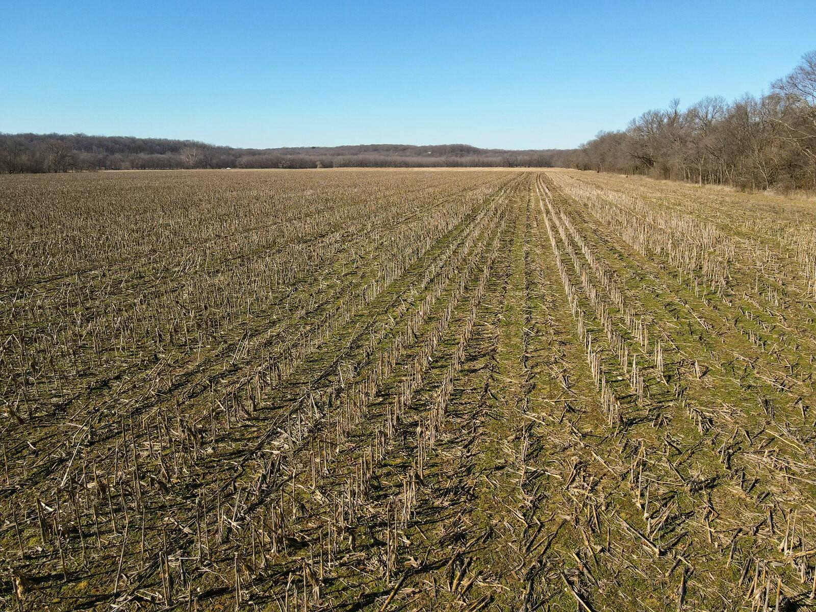 Tbd Gum Road Property Photo 7