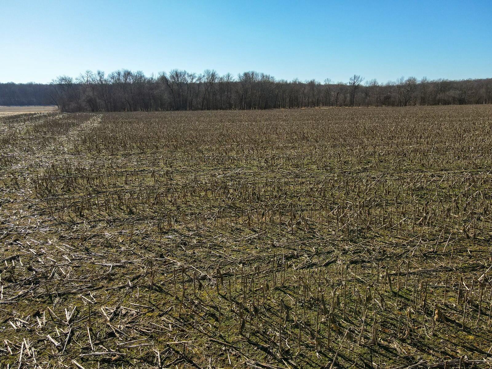 Tbd Gum Road Property Photo 9
