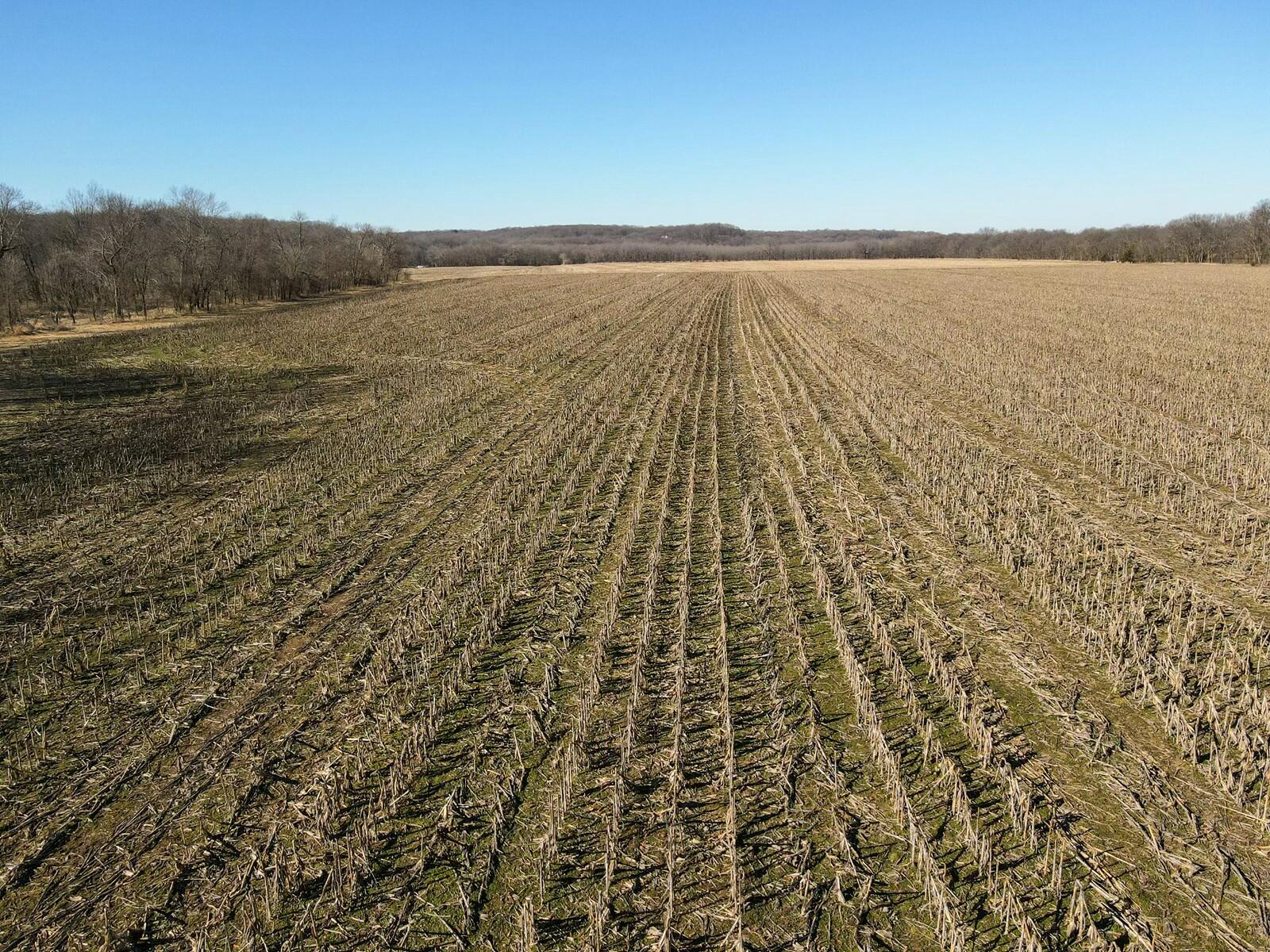 Tbd Gum Road Property Photo 10