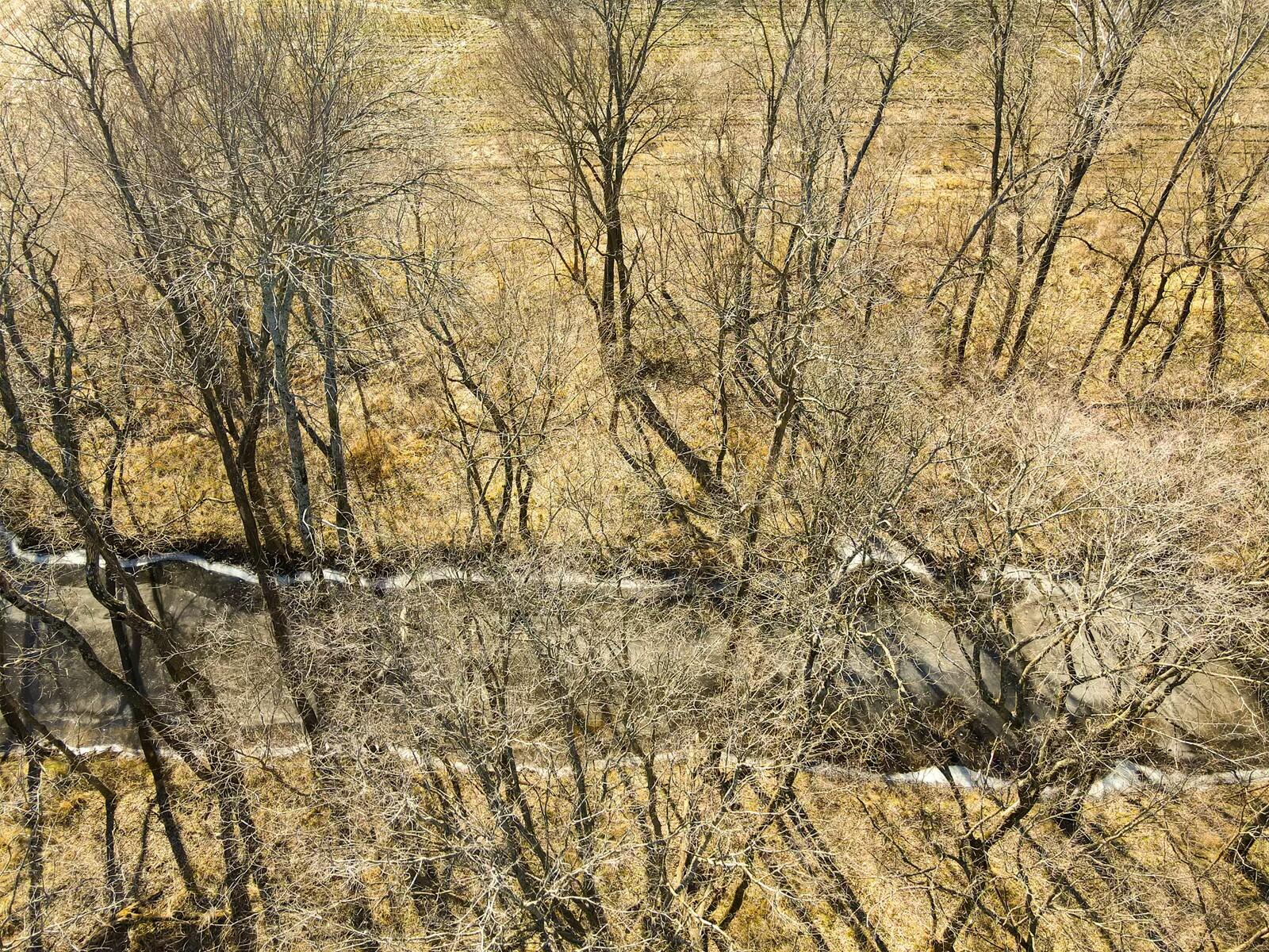 Tbd Gum Road Property Photo 11