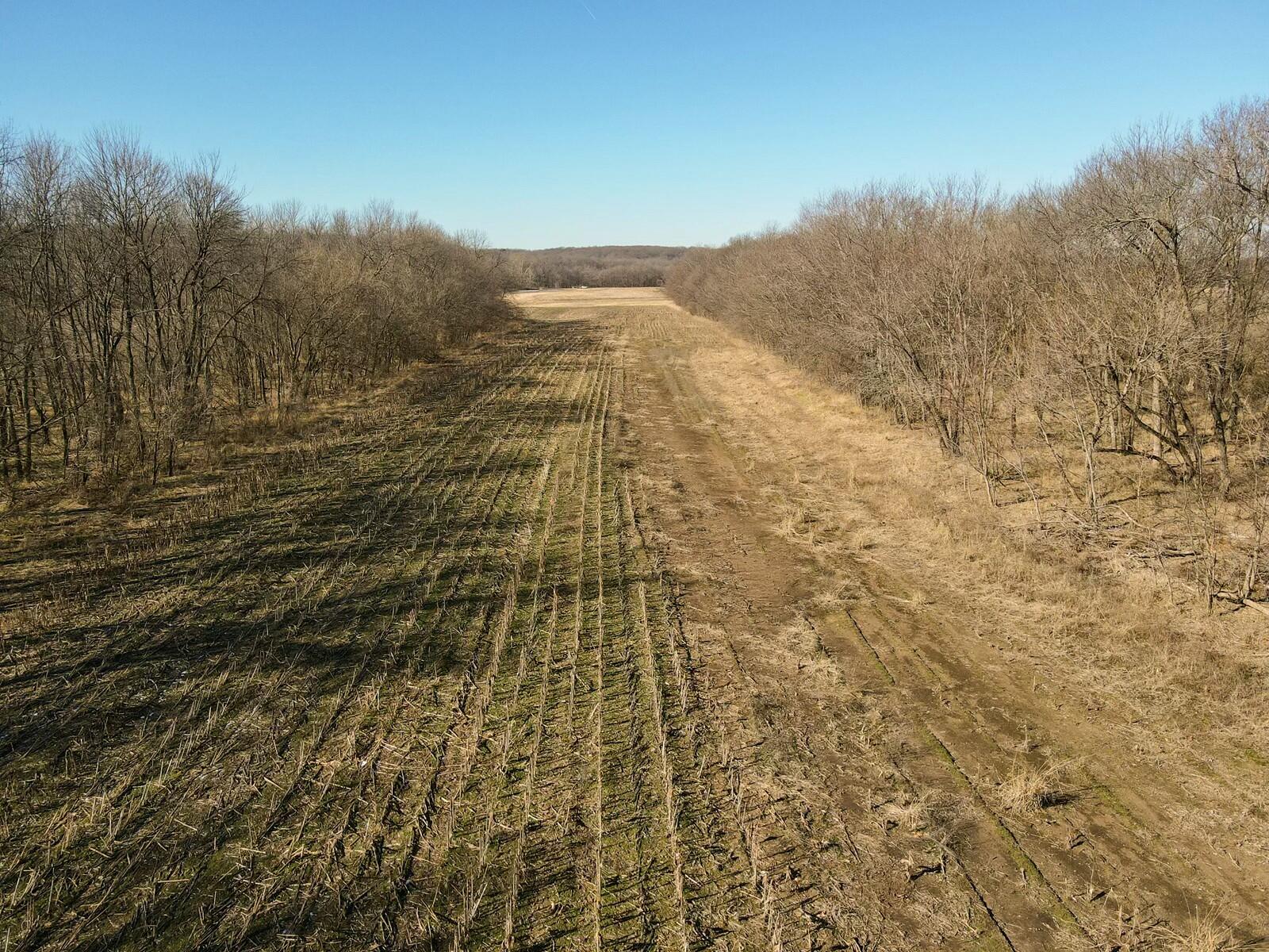 Tbd Gum Road Property Photo 12