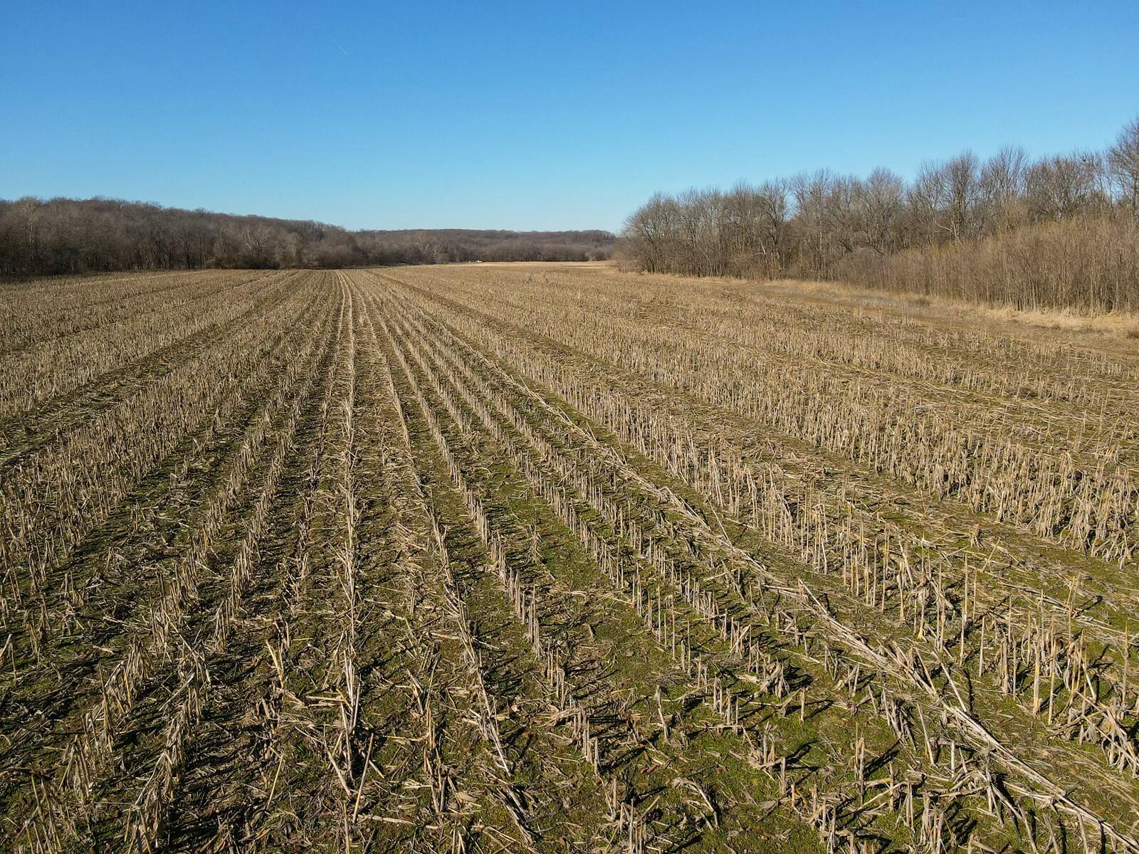 Tbd Gum Road Property Photo 14