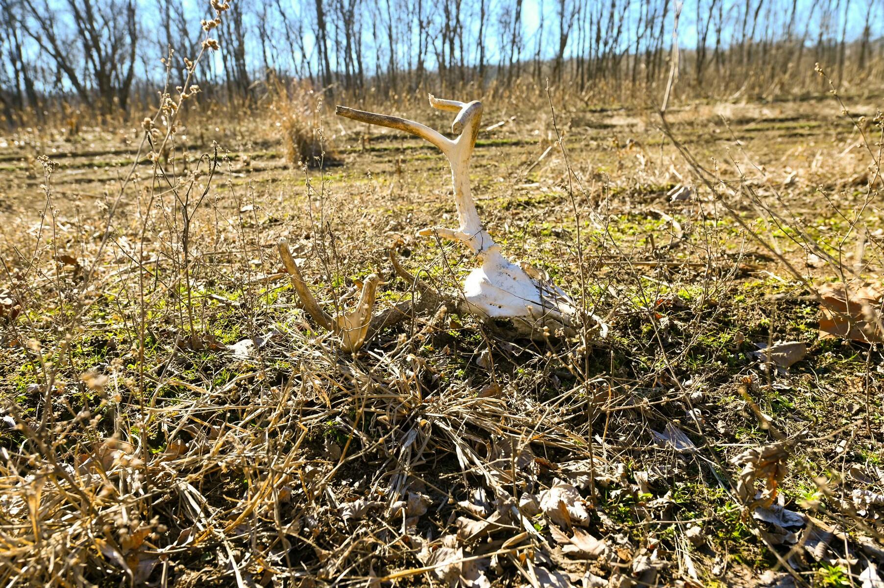 Tbd Gum Road Property Photo 18