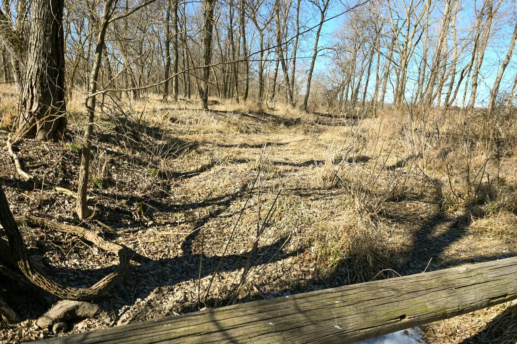 Tbd Gum Road Property Photo 19