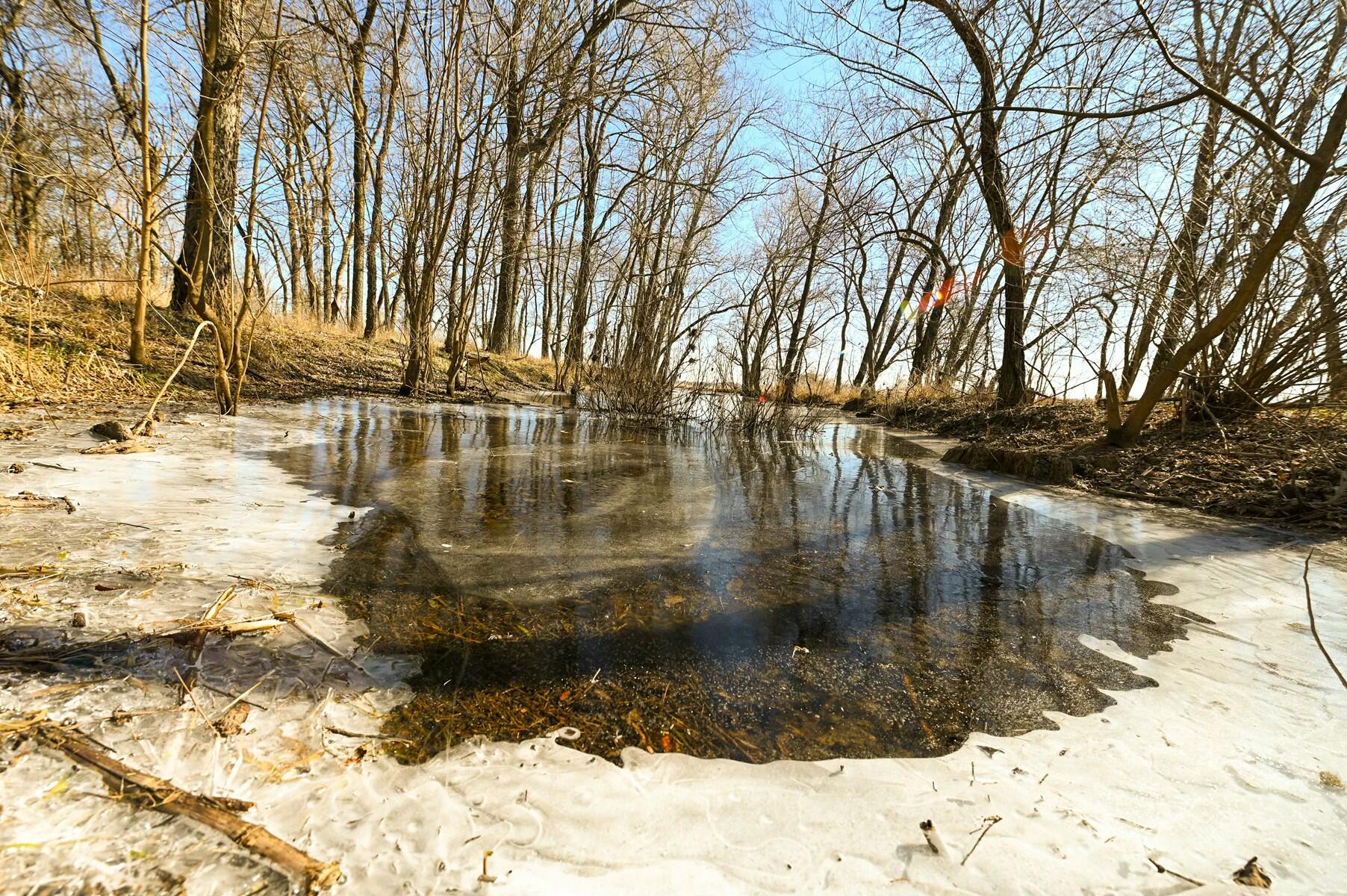 Tbd Gum Road Property Photo 20
