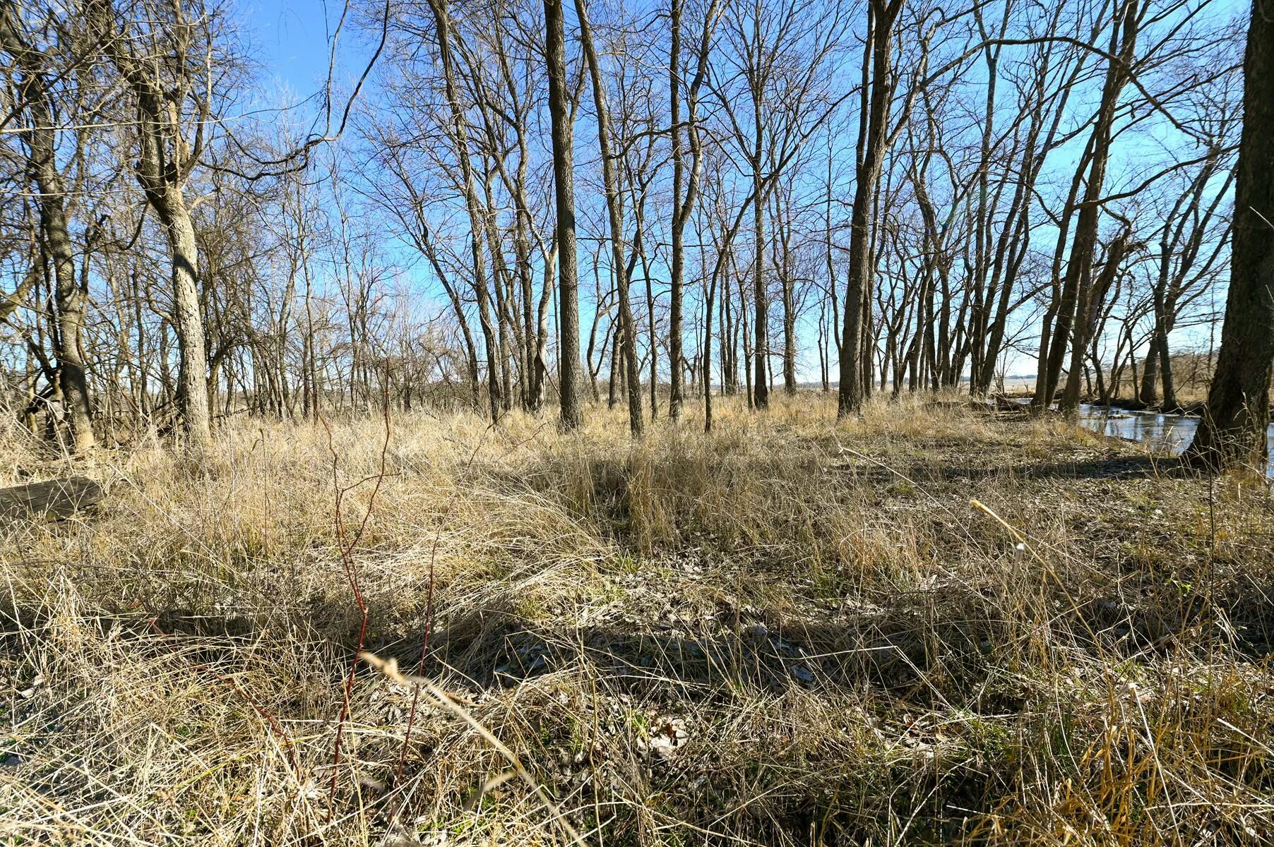 Tbd Gum Road Property Photo 22