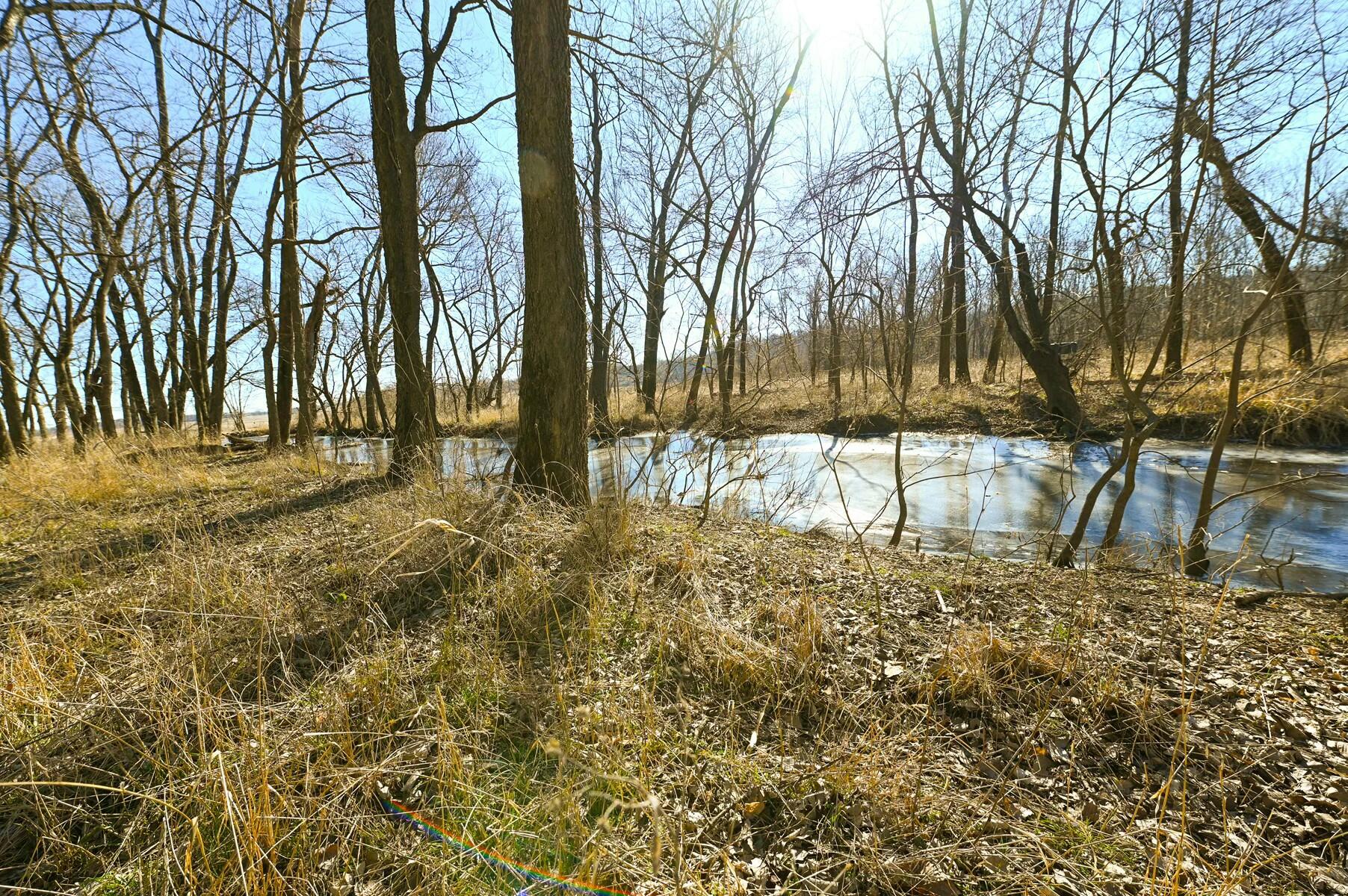 Tbd Gum Road Property Photo 23