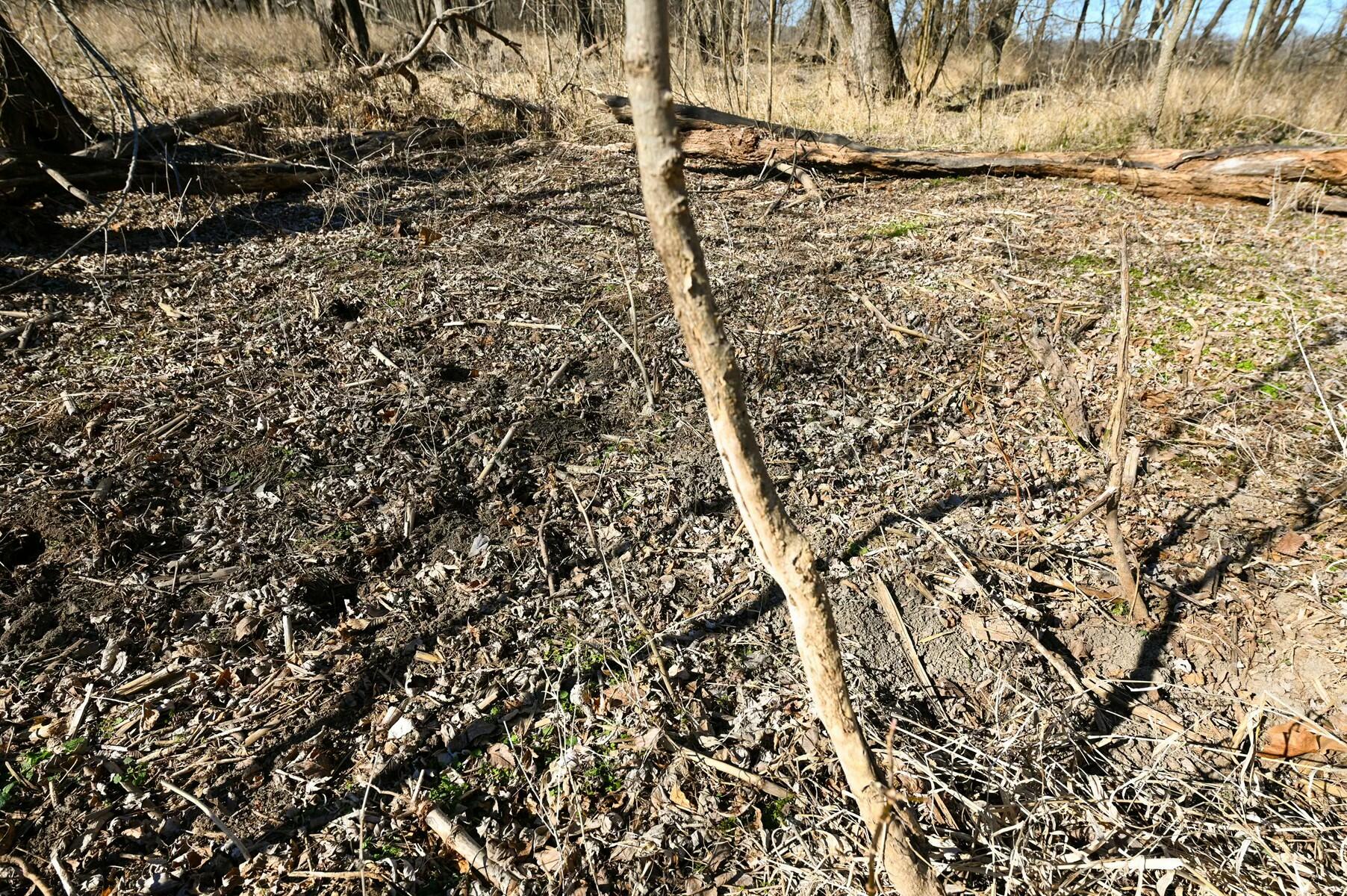 Tbd Gum Road Property Photo 25