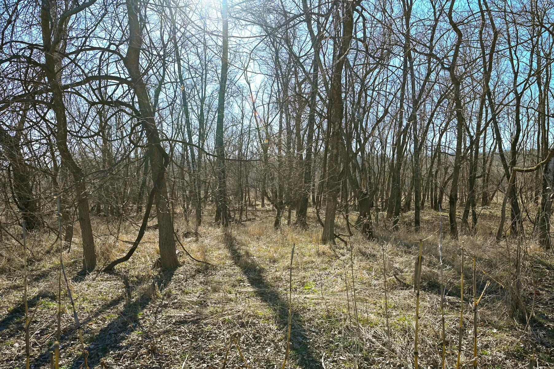 Tbd Gum Road Property Photo 26
