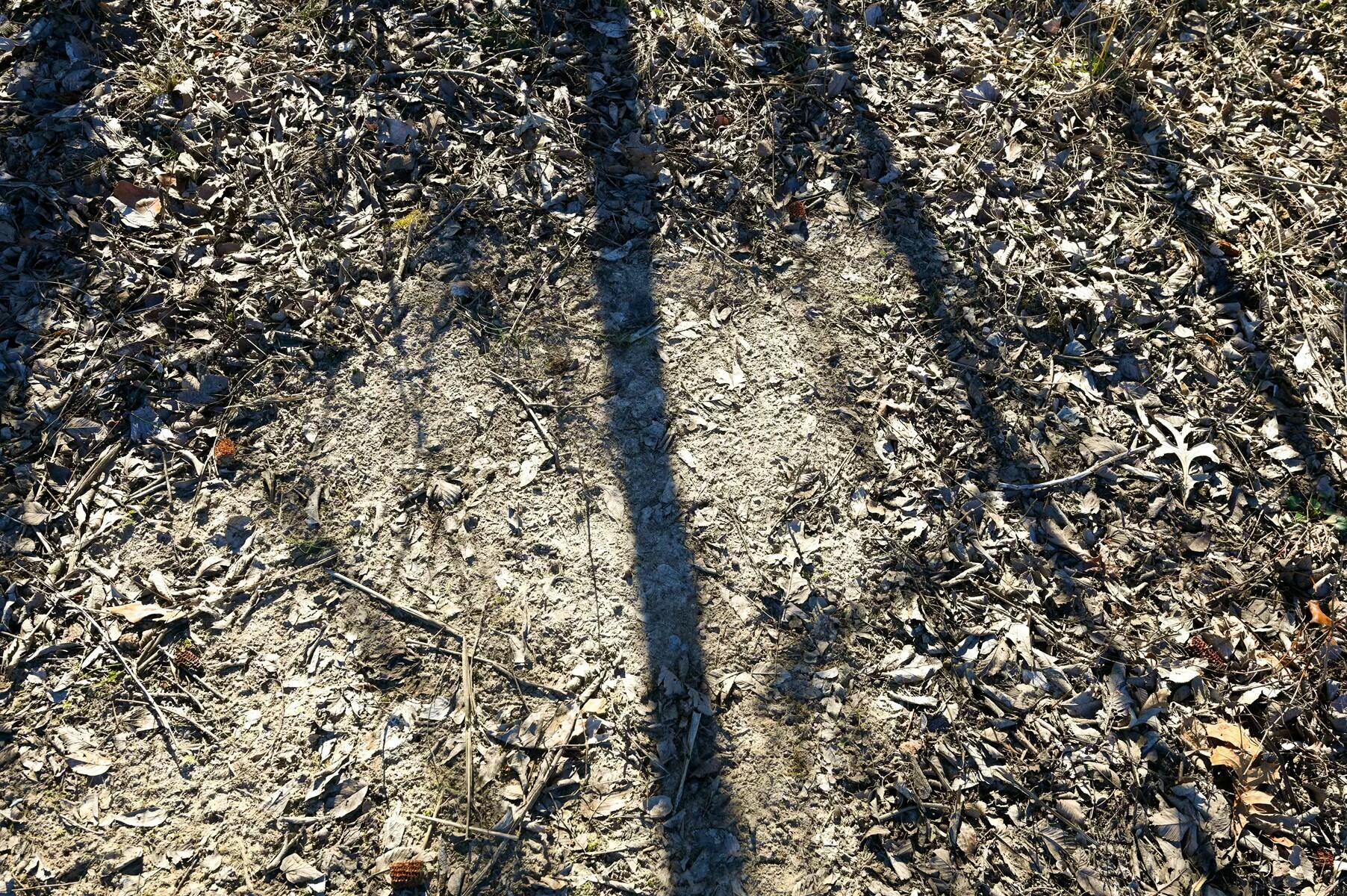 Tbd Gum Road Property Photo 27