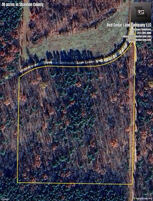 15603 County Road 19-440 Property Photo 5