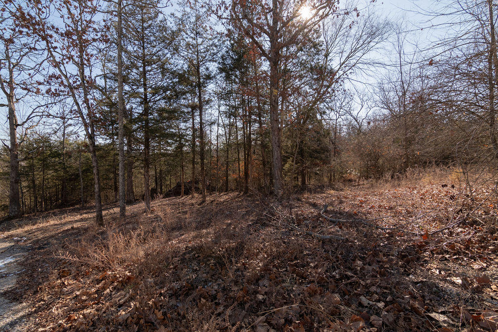 450 Eagle Drive Property Photo 73