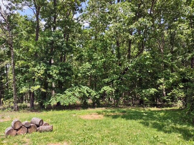 16625 Scott Lane Property Photo 22