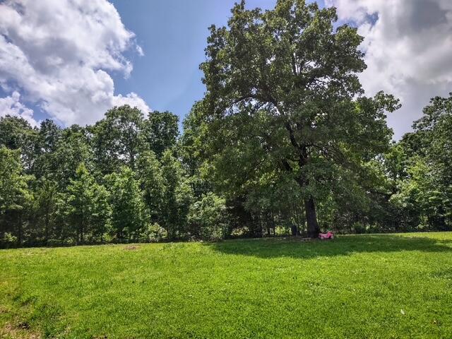 16625 Scott Lane Property Photo 27