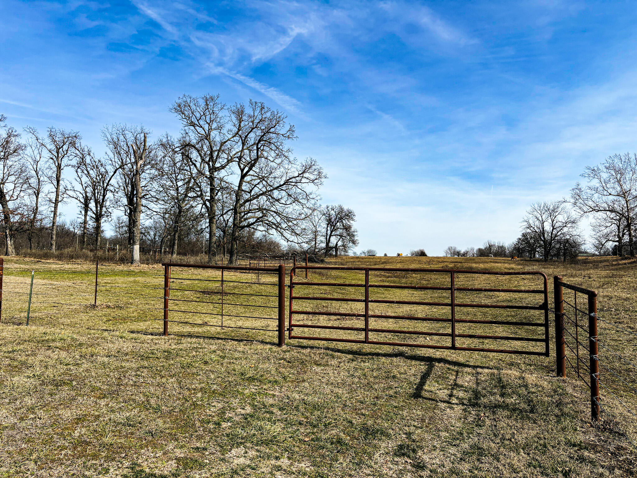 15481 Heron Drive Property Photo 22