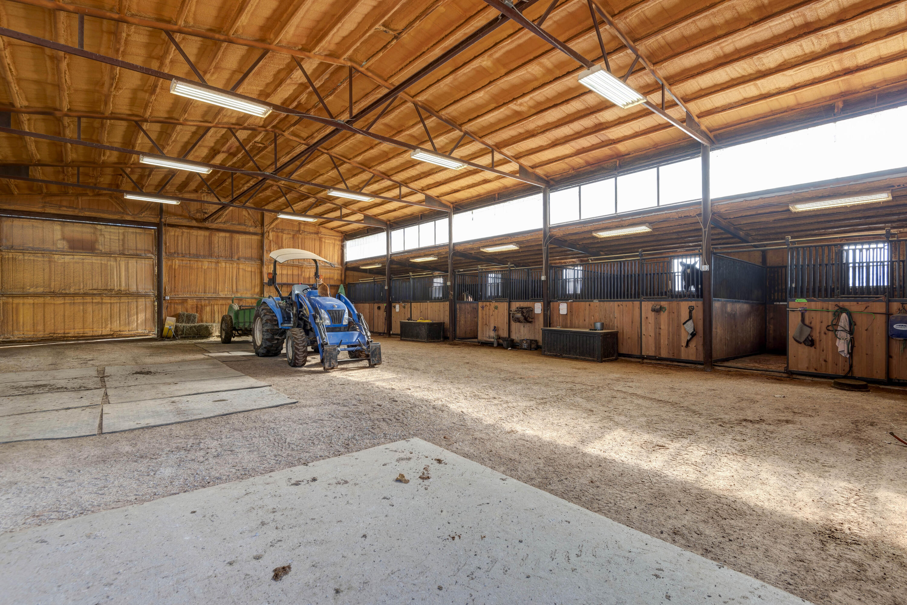 256 Century Farm Road Property Photo 6