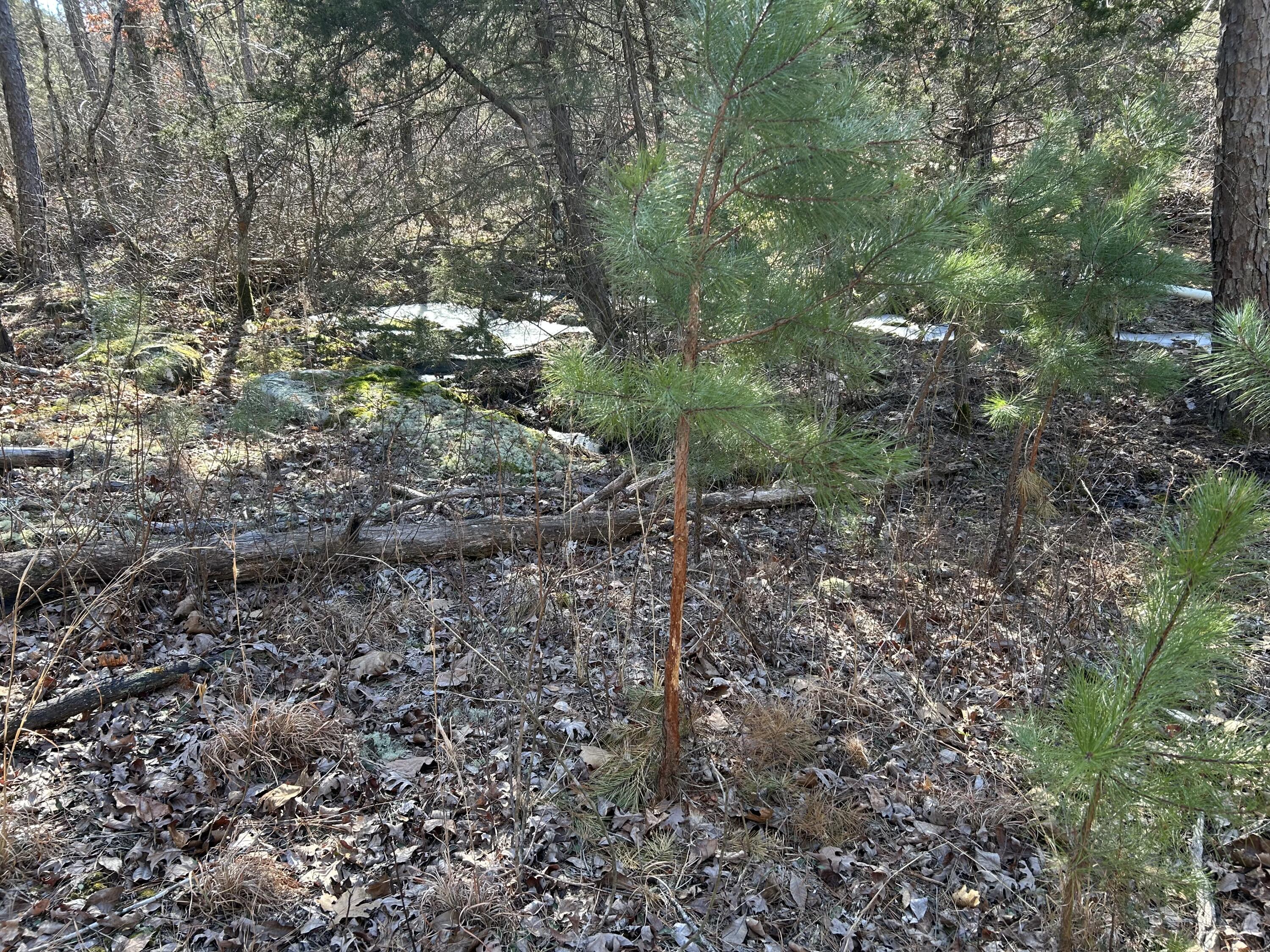 000 Decker Road Property Photo