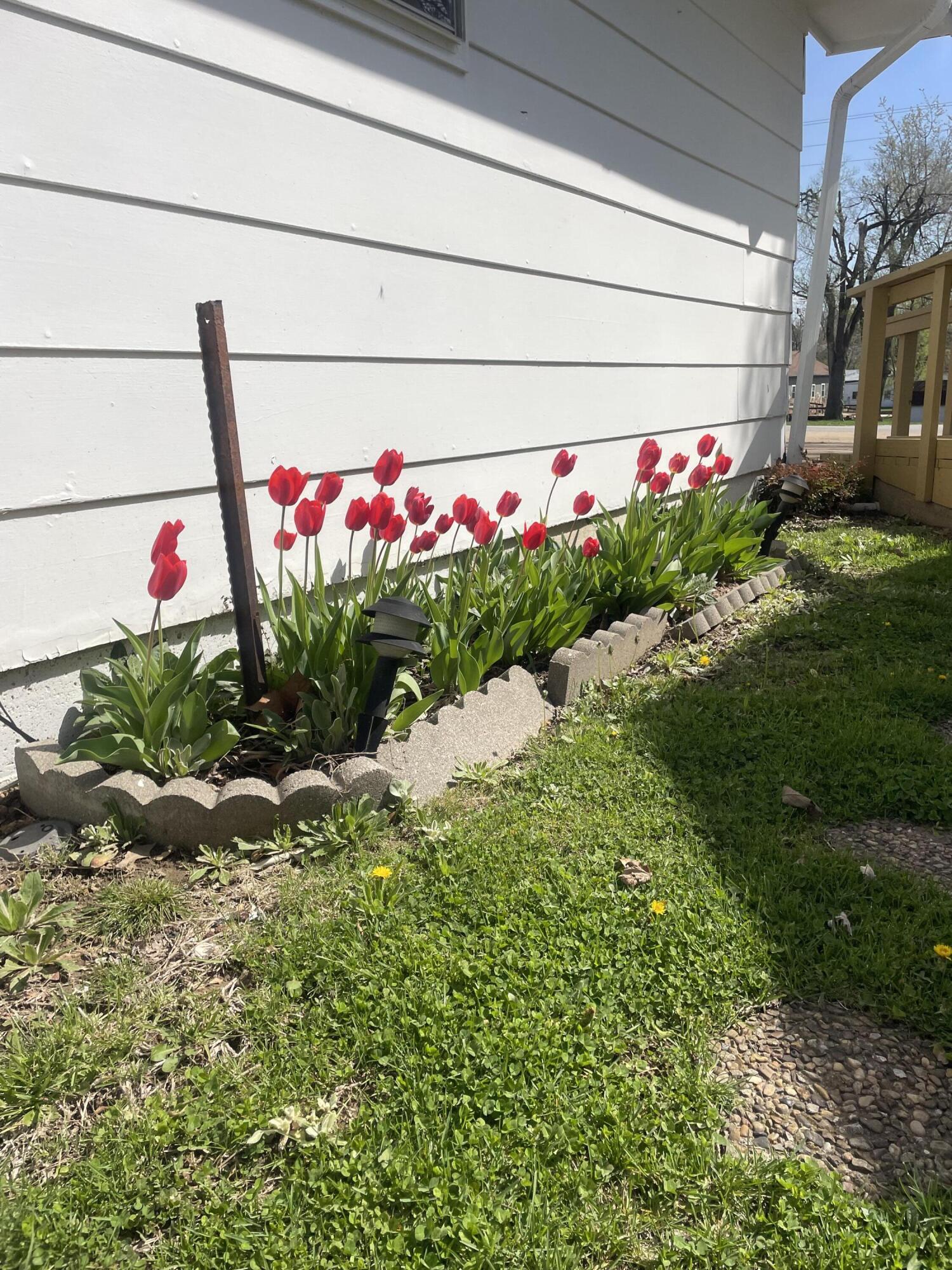 1002 Ozark Avenue Property Photo 7