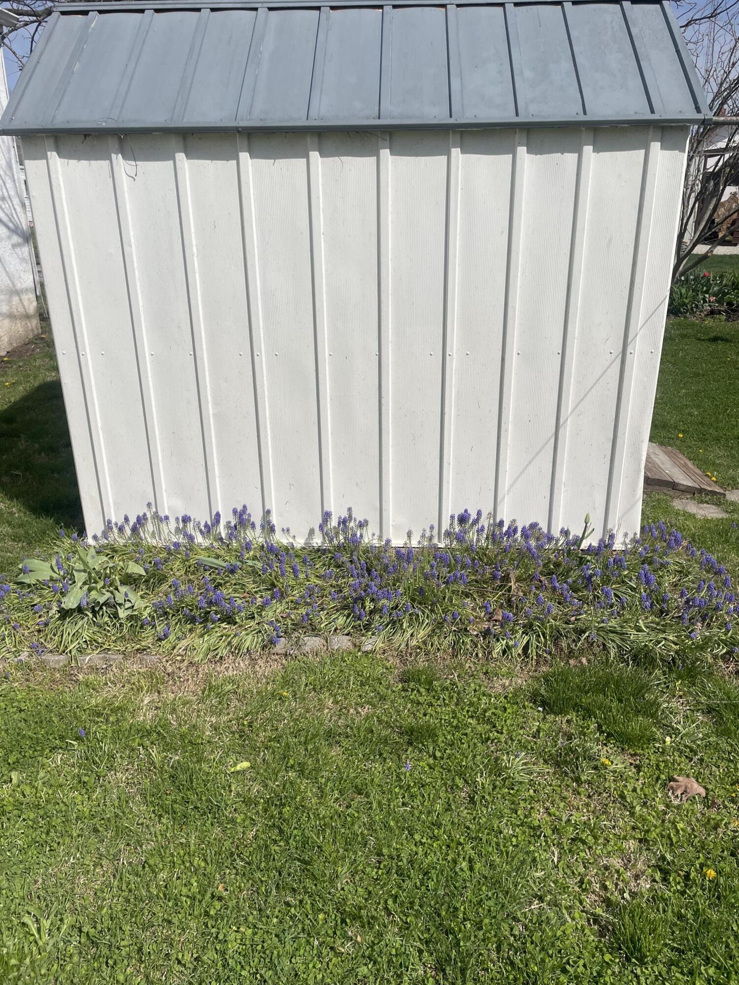 1002 Ozark Avenue Property Photo 51