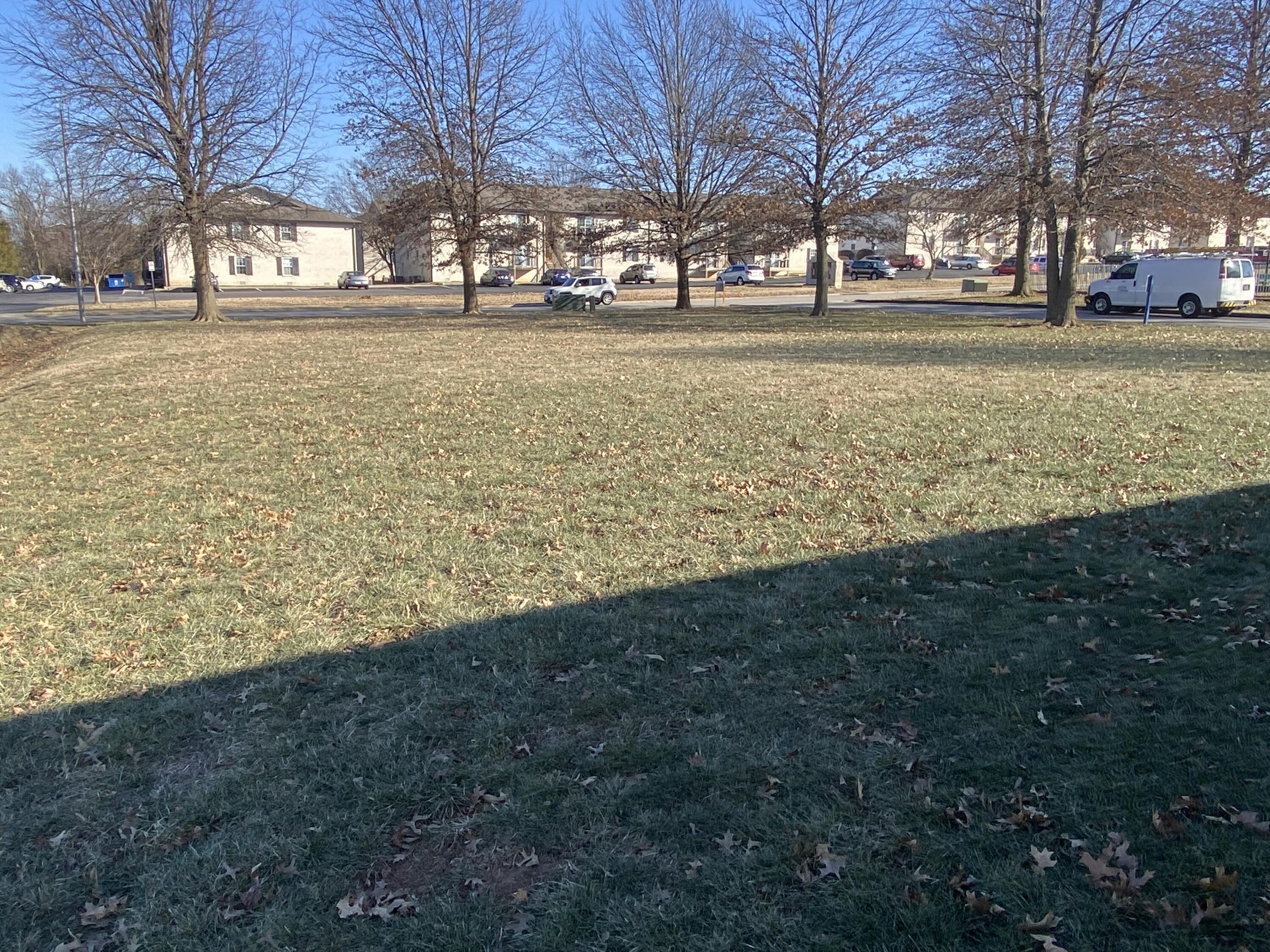 2711 South Meadowbrook Avenue Property Photo 22