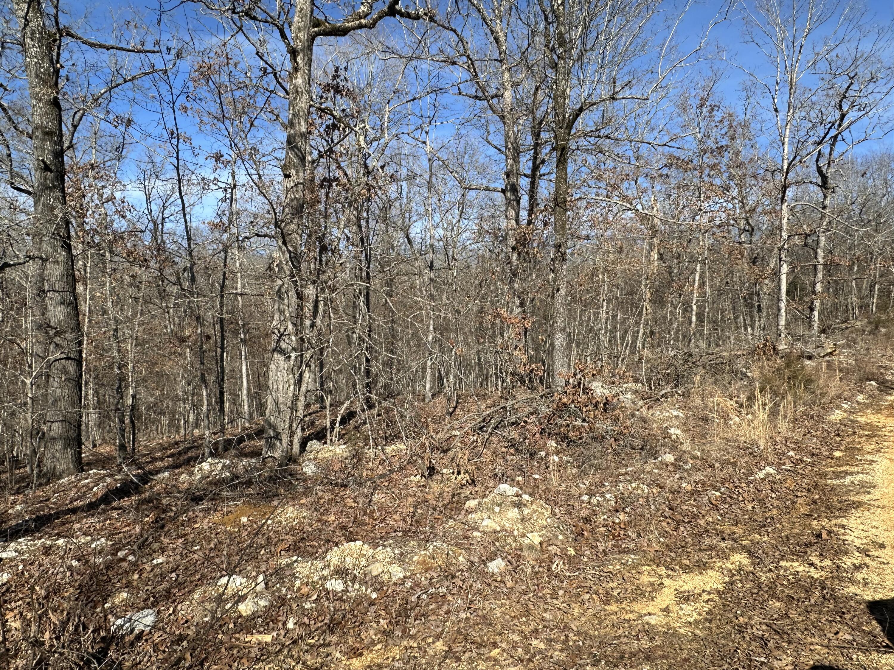 000 Ridgehaven Road Property Photo 3