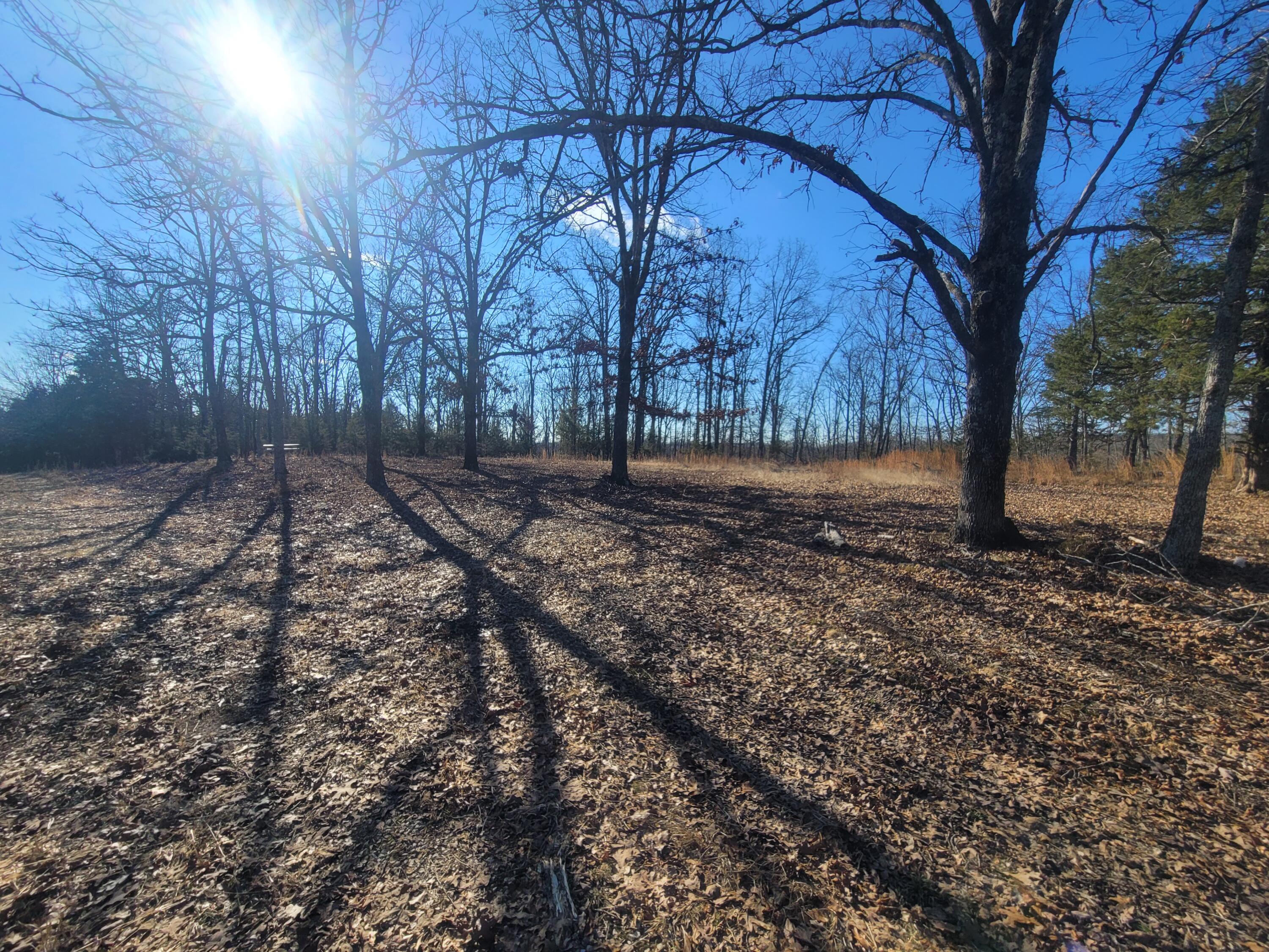 361 Hickory Flats Road Property Photo 10