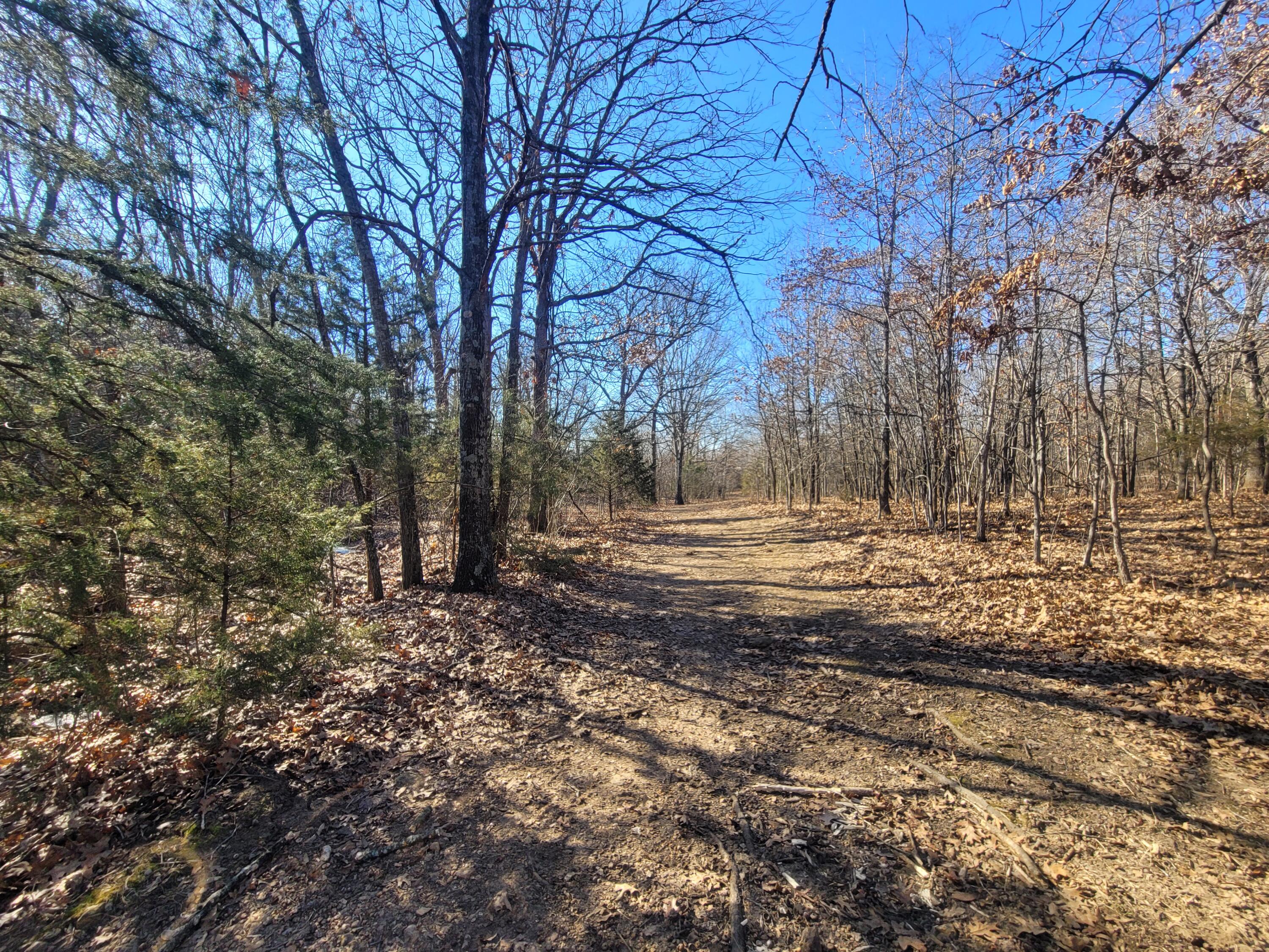 361 Hickory Flats Road Property Photo 11
