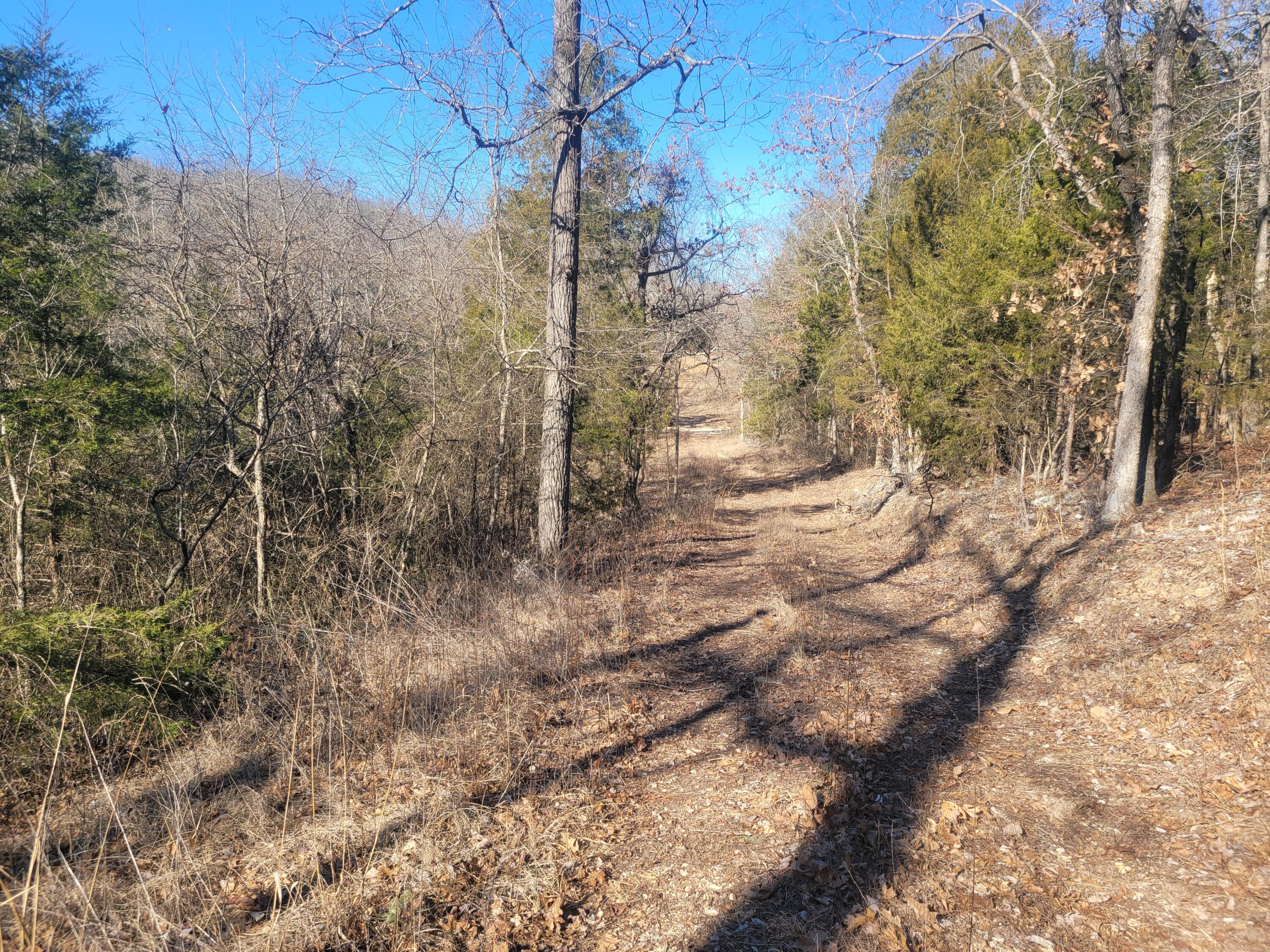 361 Hickory Flats Road Property Photo 13
