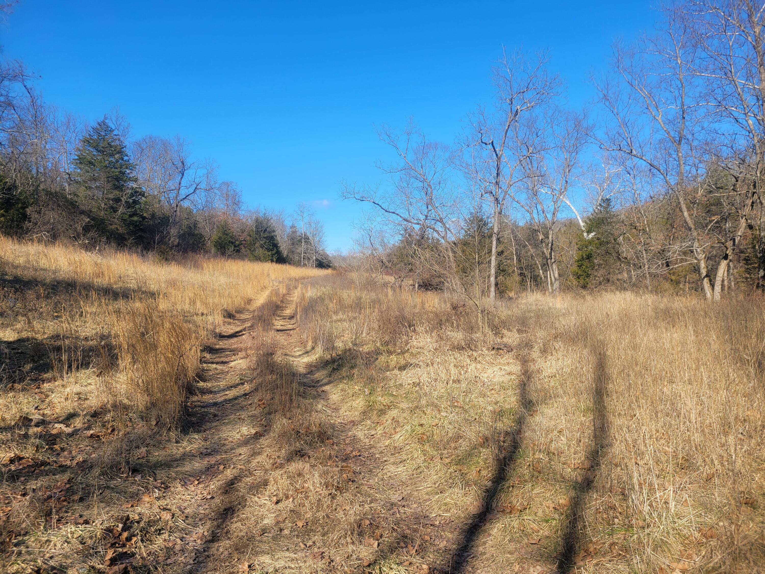 361 Hickory Flats Road Property Photo 18