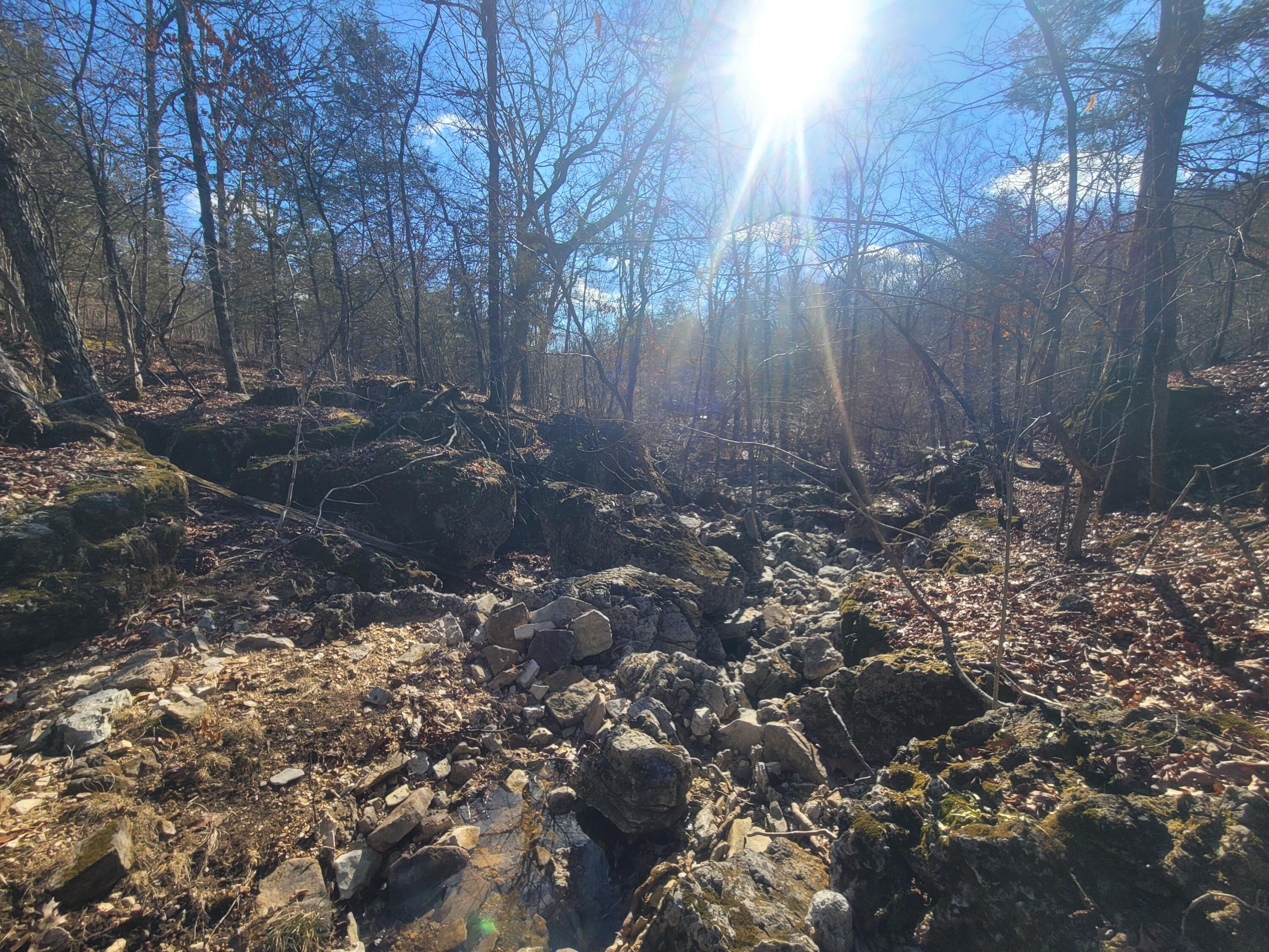 361 Hickory Flats Road Property Photo 23